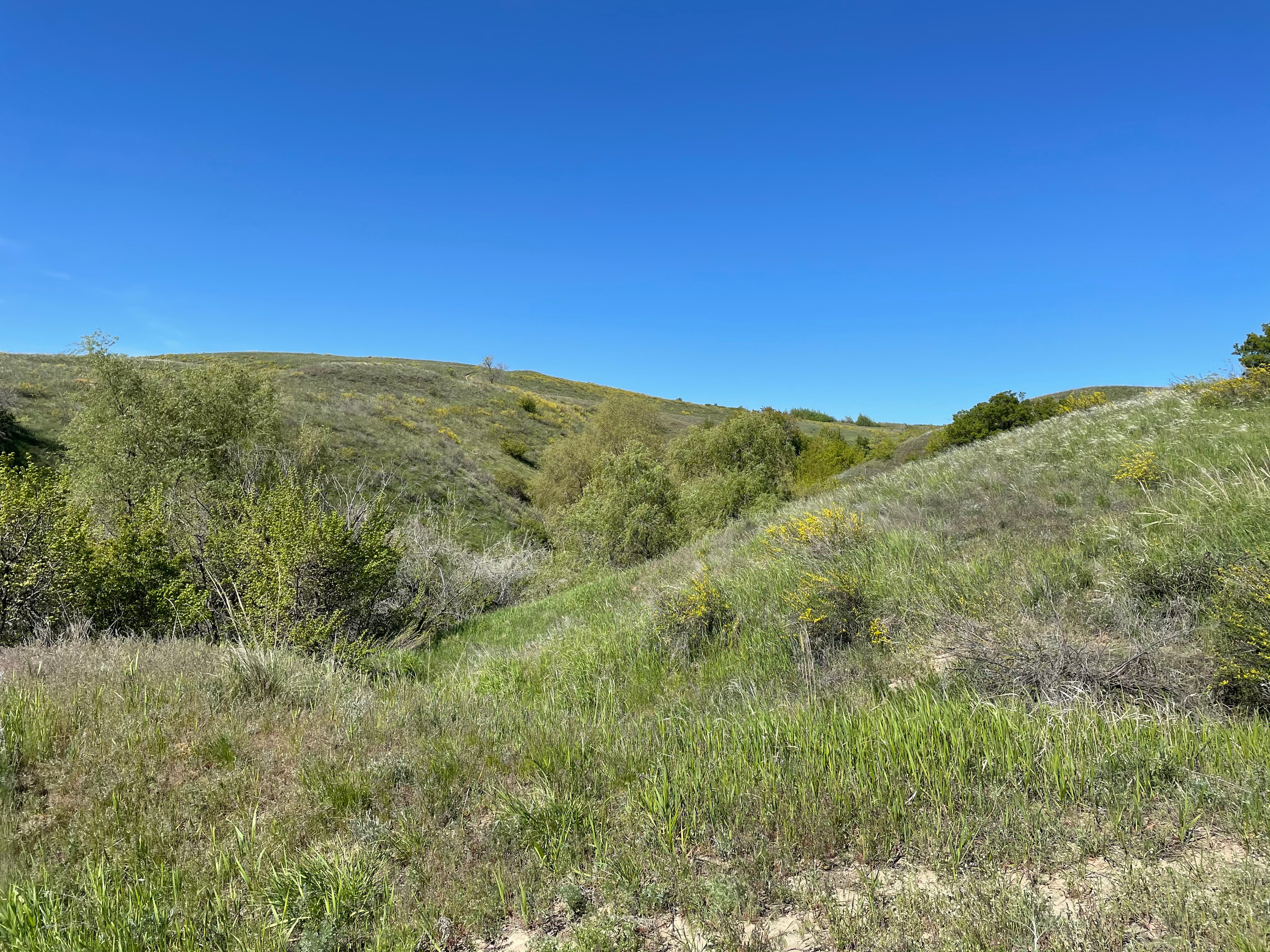 12 220 Сопки. ВИЗУАЛЬНЫЕ И ЗВУКОВЫЕ РЕШЕНИЯ ДЛЯ БИЗНЕСА И СЪЁМОК ТЕЛЕТЕЛА