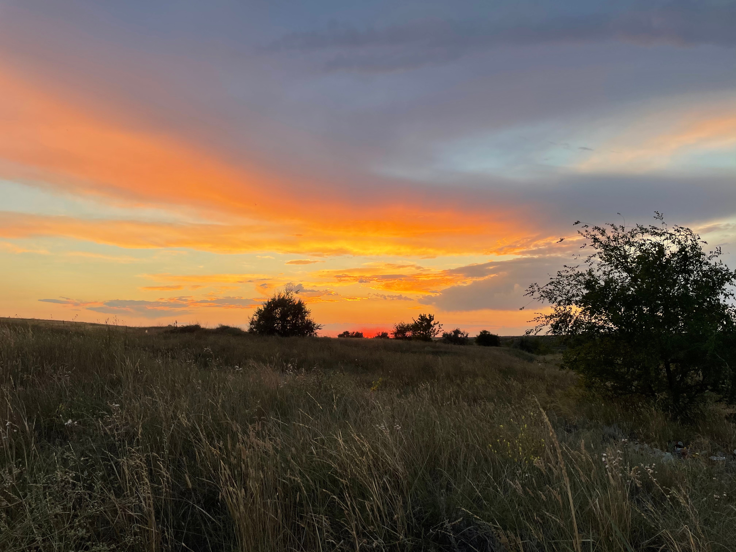 10 508 Степь. ВИЗУАЛЬНЫЕ И ЗВУКОВЫЕ РЕШЕНИЯ ДЛЯ БИЗНЕСА И СЪЁМОК ТЕЛЕТЕЛА