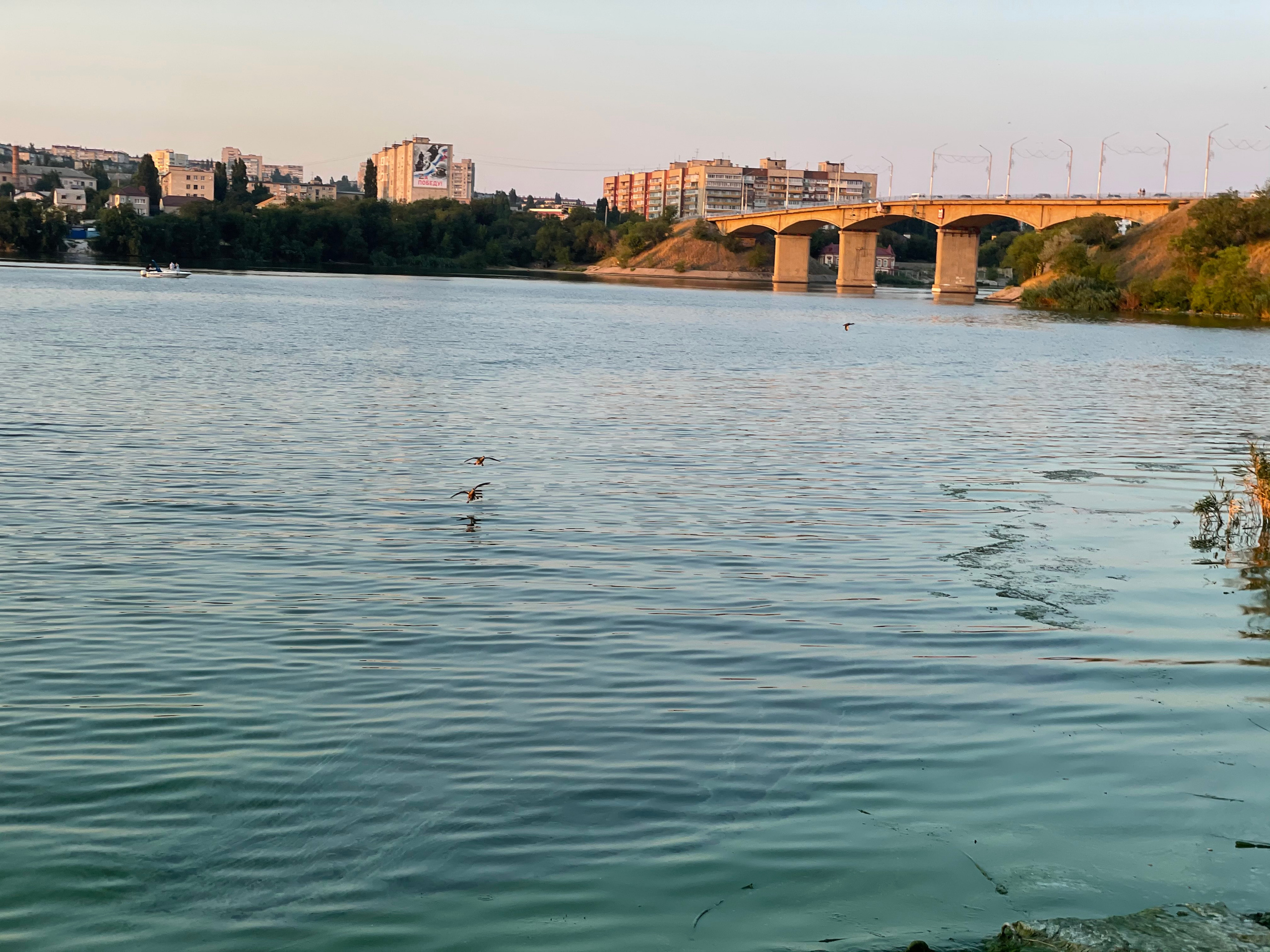 20 523 Мост и утки. ВИЗУАЛЬНЫЕ И ЗВУКОВЫЕ РЕШЕНИЯ ДЛЯ БИЗНЕСА И СЪЁМОК ТЕЛЕТЕЛА