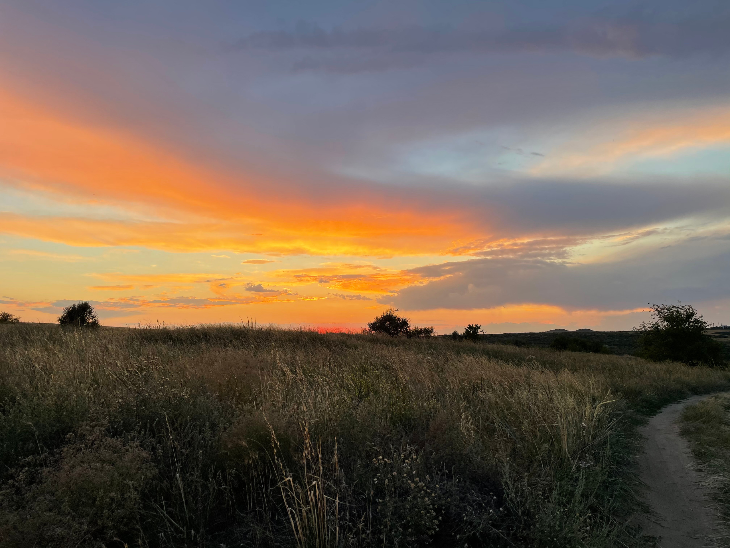 10 508 Степь. ВИЗУАЛЬНЫЕ И ЗВУКОВЫЕ РЕШЕНИЯ ДЛЯ БИЗНЕСА И СЪЁМОК ТЕЛЕТЕЛА