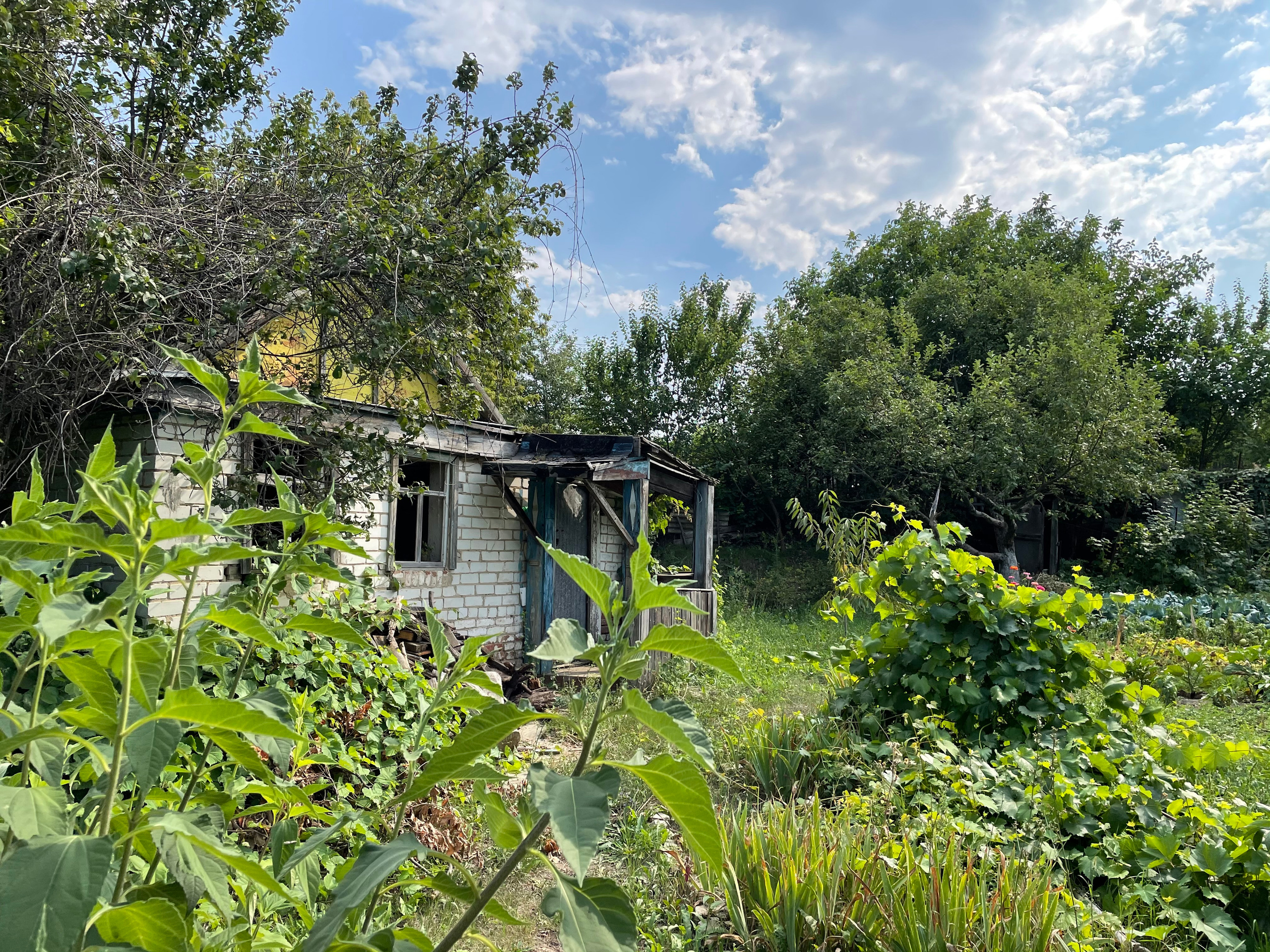 22 340 Дача. ВИЗУАЛЬНЫЕ И ЗВУКОВЫЕ РЕШЕНИЯ ДЛЯ БИЗНЕСА И СЪЁМОК ТЕЛЕТЕЛА