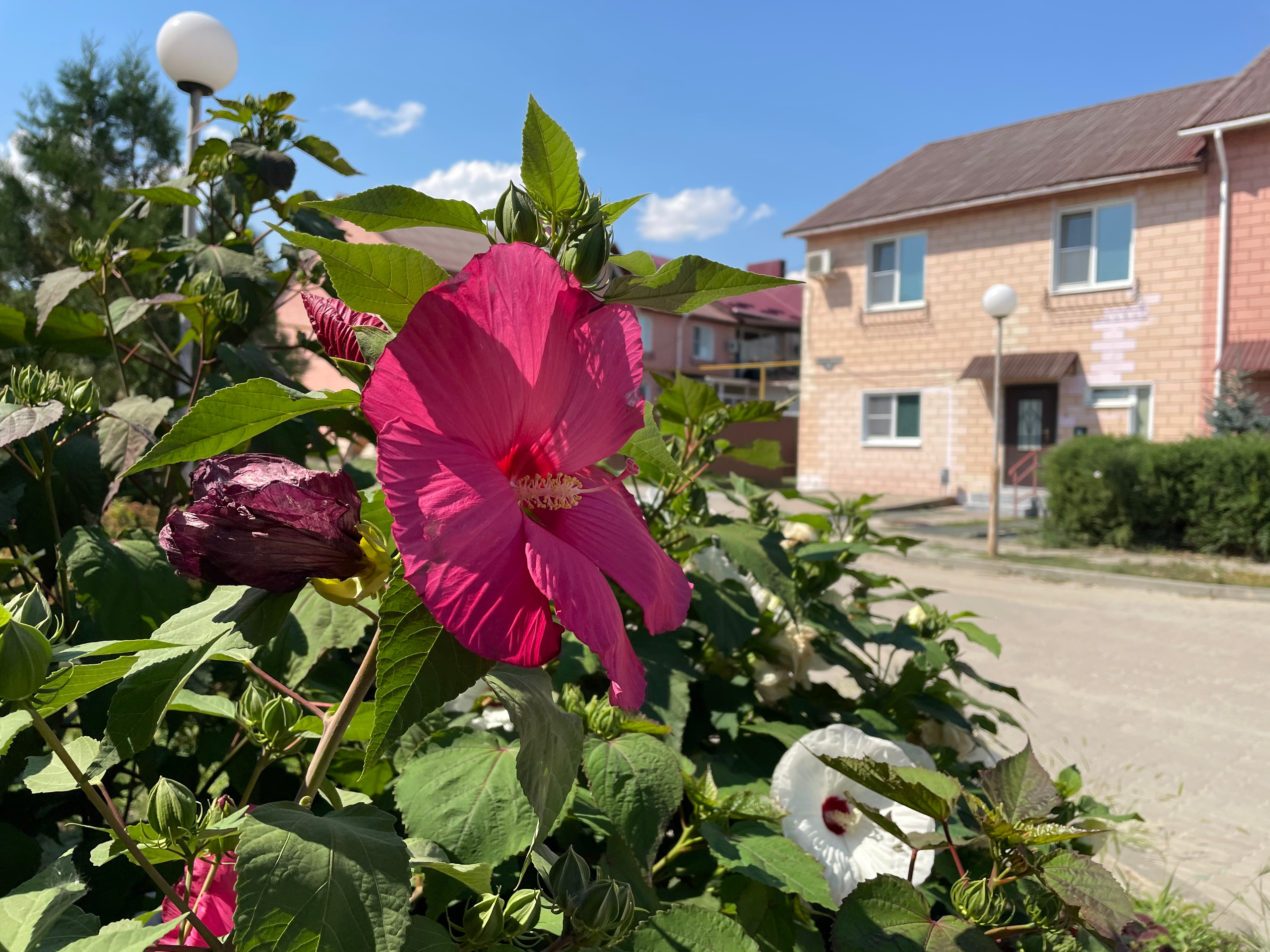 20 185 Таунхаус. ВИЗУАЛЬНЫЕ И ЗВУКОВЫЕ РЕШЕНИЯ ДЛЯ БИЗНЕСА И СЪЁМОК ТЕЛЕТЕЛА