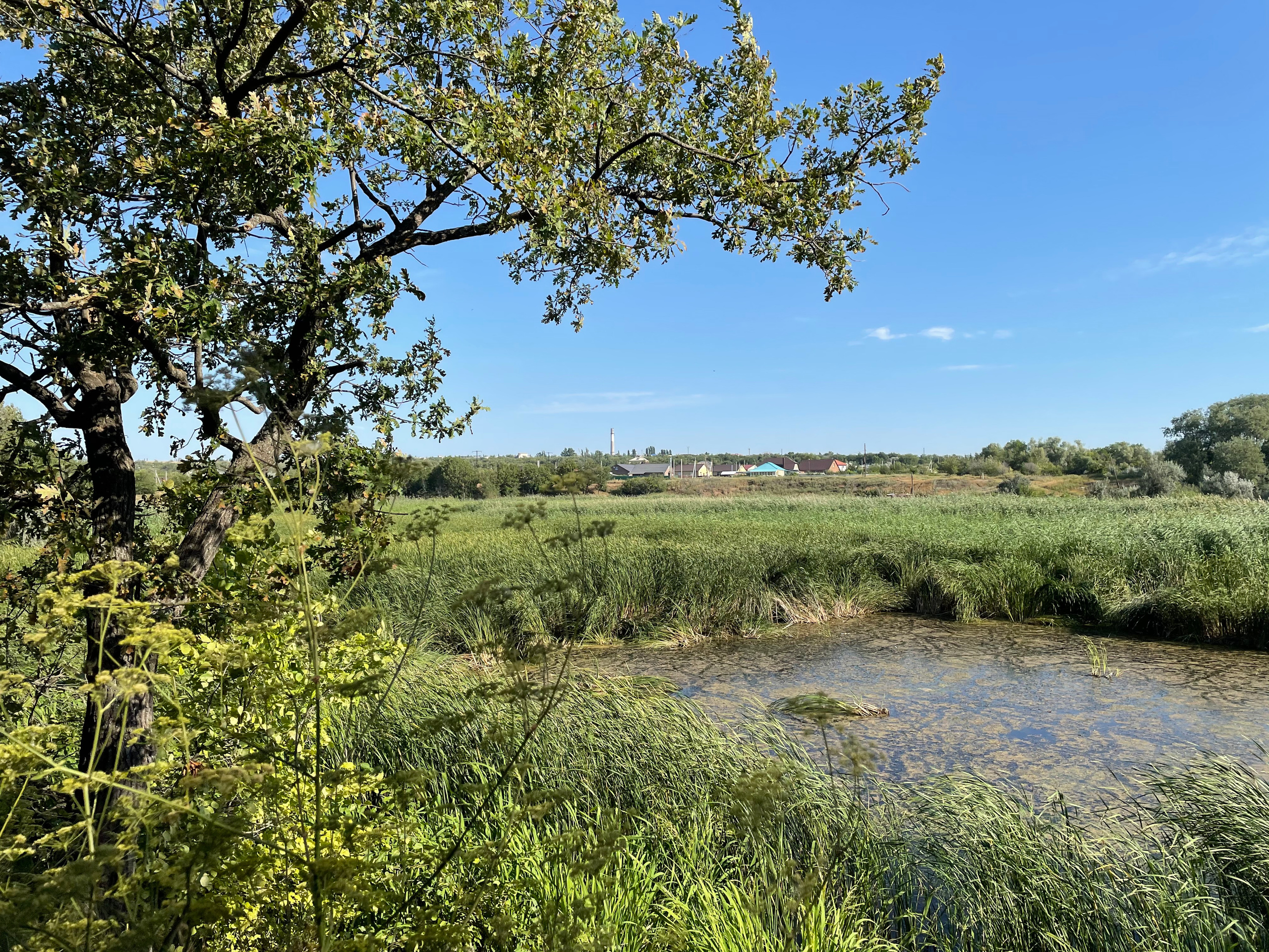 10 020 Берег. ВИЗУАЛЬНЫЕ И ЗВУКОВЫЕ РЕШЕНИЯ ДЛЯ БИЗНЕСА И СЪЁМОК ТЕЛЕТЕЛА