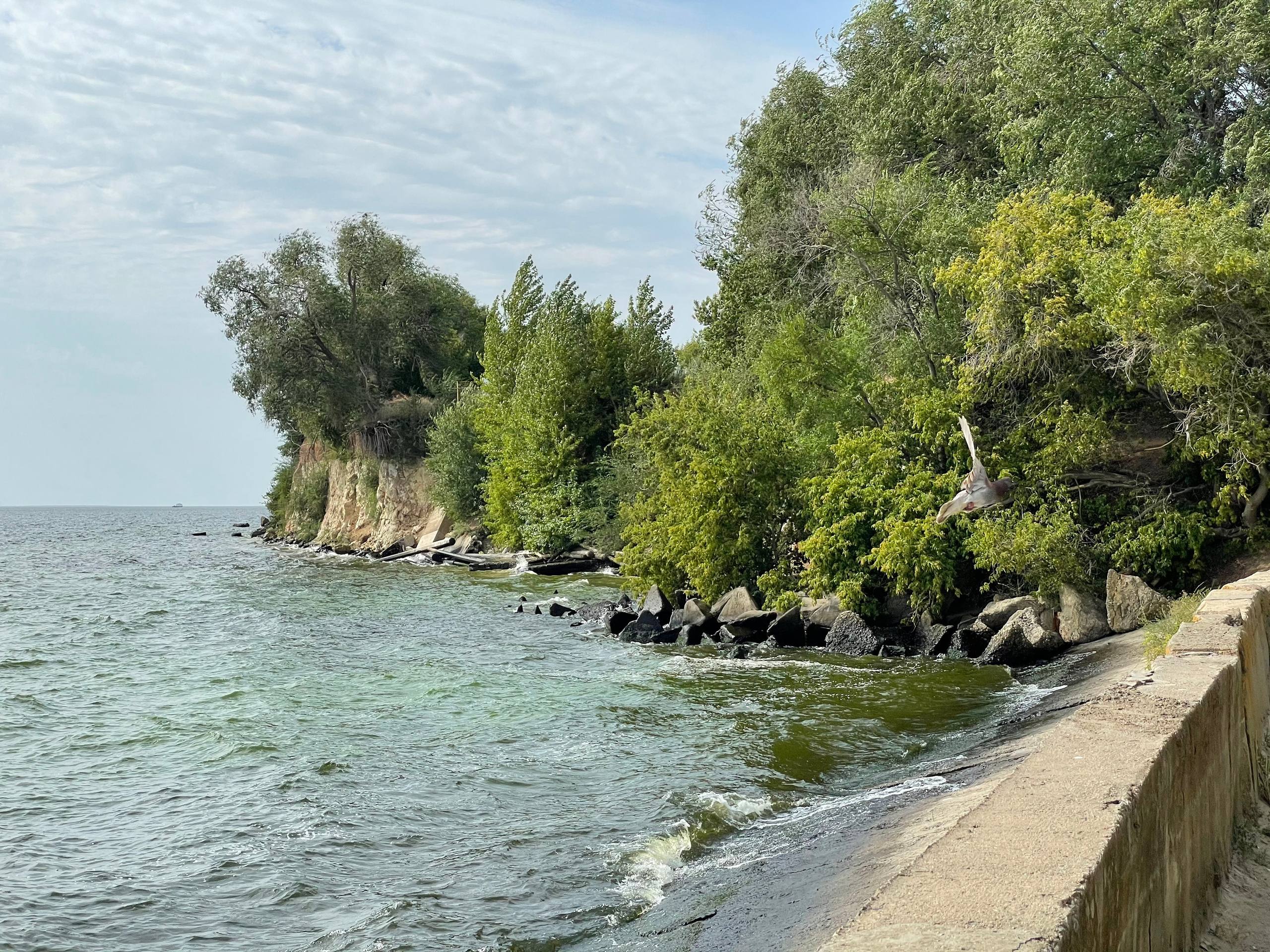 10 026 Берег. ВИЗУАЛЬНЫЕ И ЗВУКОВЫЕ РЕШЕНИЯ ДЛЯ БИЗНЕСА И СЪЁМОК ТЕЛЕТЕЛА