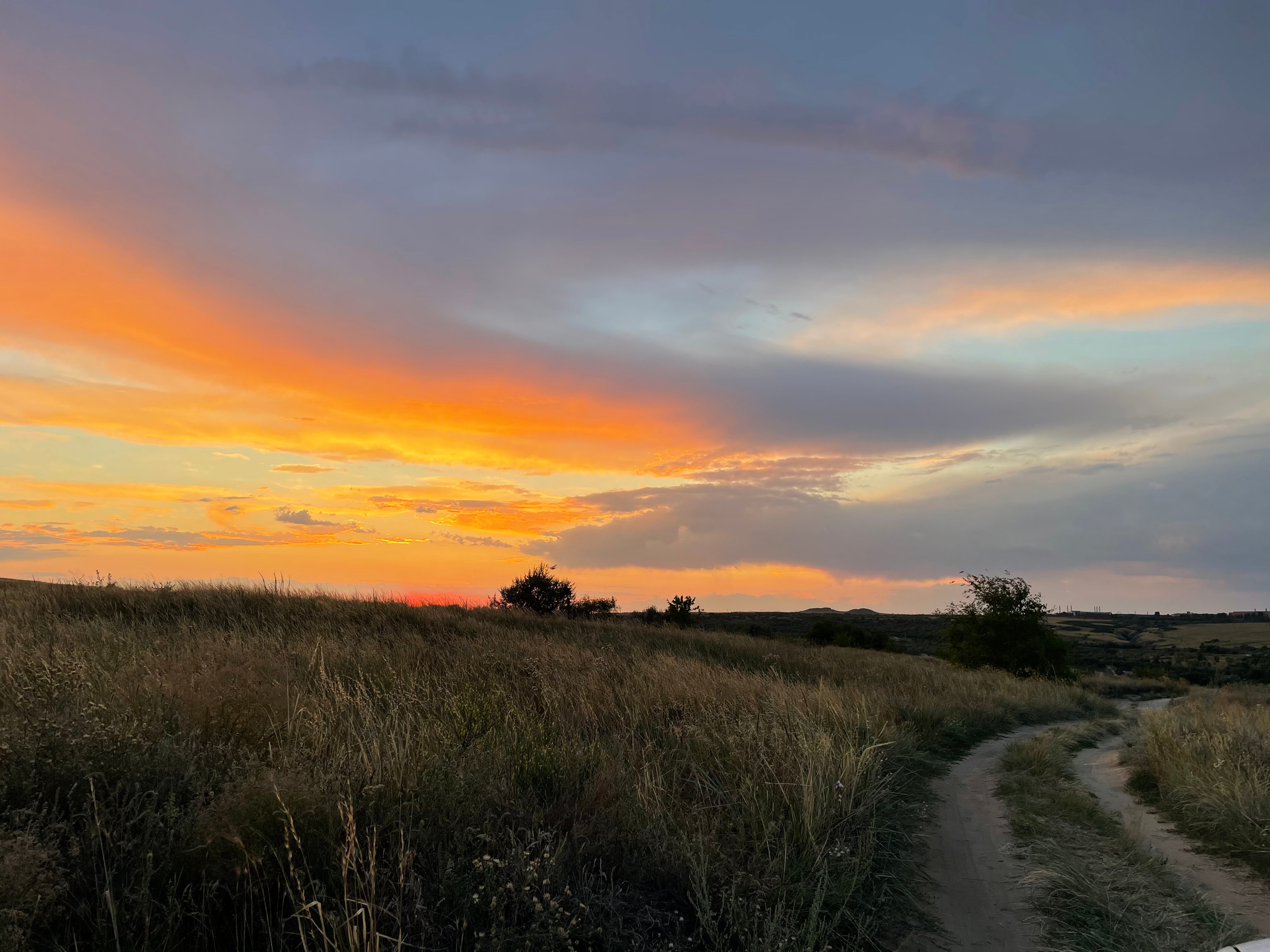 10 508 Степь. ВИЗУАЛЬНЫЕ И ЗВУКОВЫЕ РЕШЕНИЯ ДЛЯ БИЗНЕСА И СЪЁМОК ТЕЛЕТЕЛА
