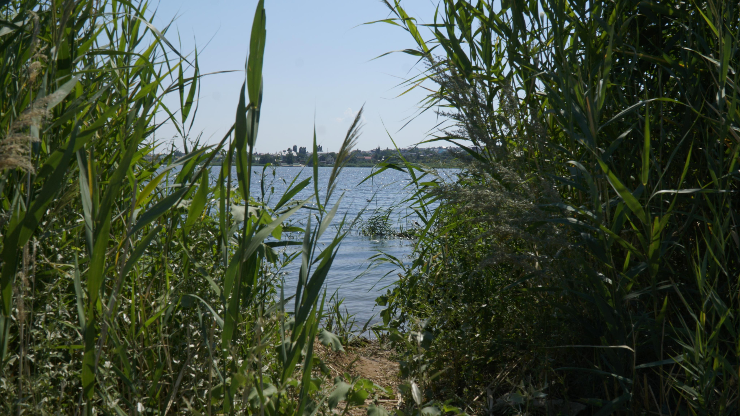 10 013 Берег. ВИЗУАЛЬНЫЕ И ЗВУКОВЫЕ РЕШЕНИЯ ДЛЯ БИЗНЕСА И СЪЁМОК ТЕЛЕТЕЛА
