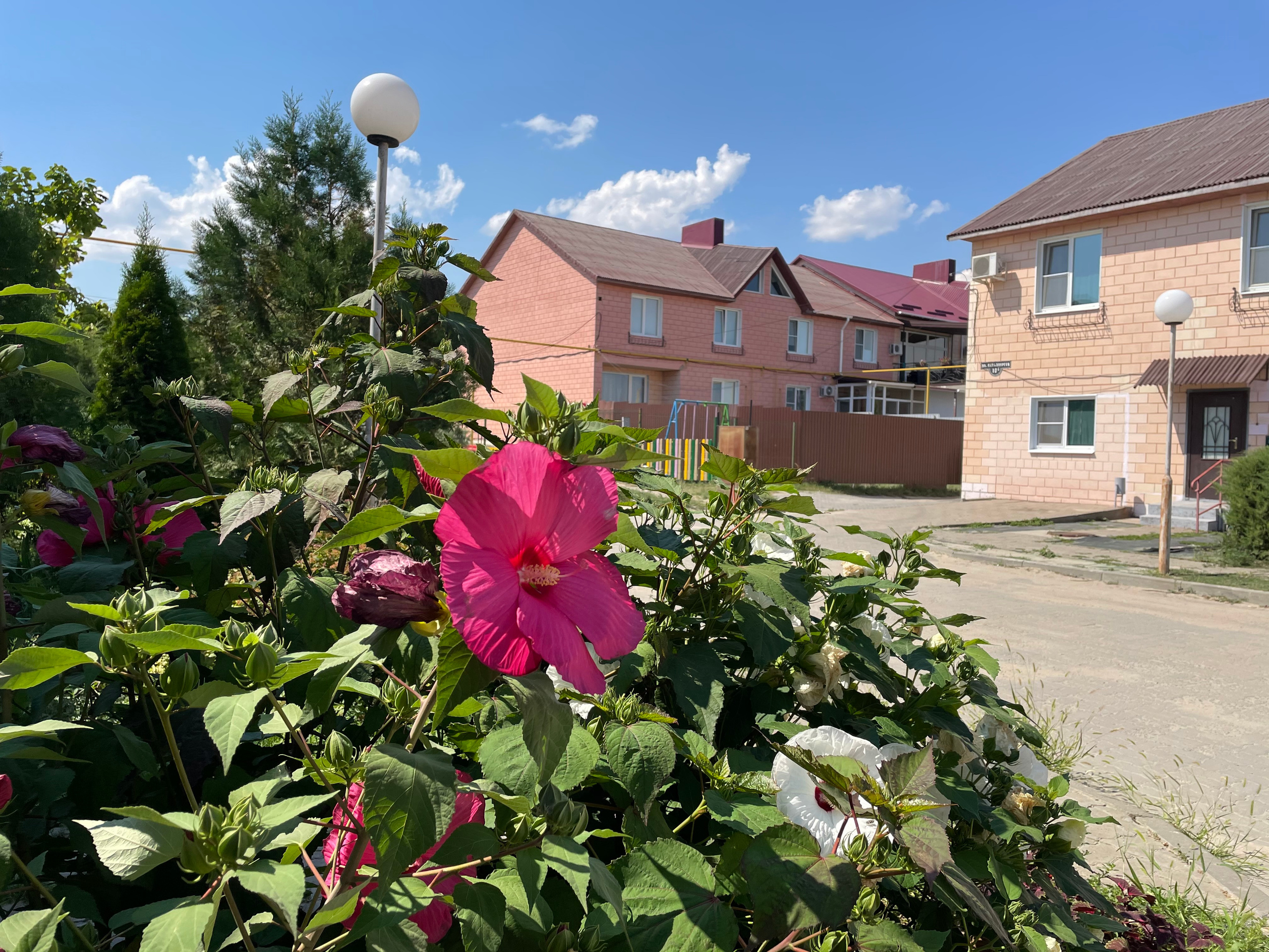 60 019 Картина. ВИЗУАЛЬНЫЕ И ЗВУКОВЫЕ РЕШЕНИЯ ДЛЯ БИЗНЕСА И СЪЁМОК ТЕЛЕТЕЛА