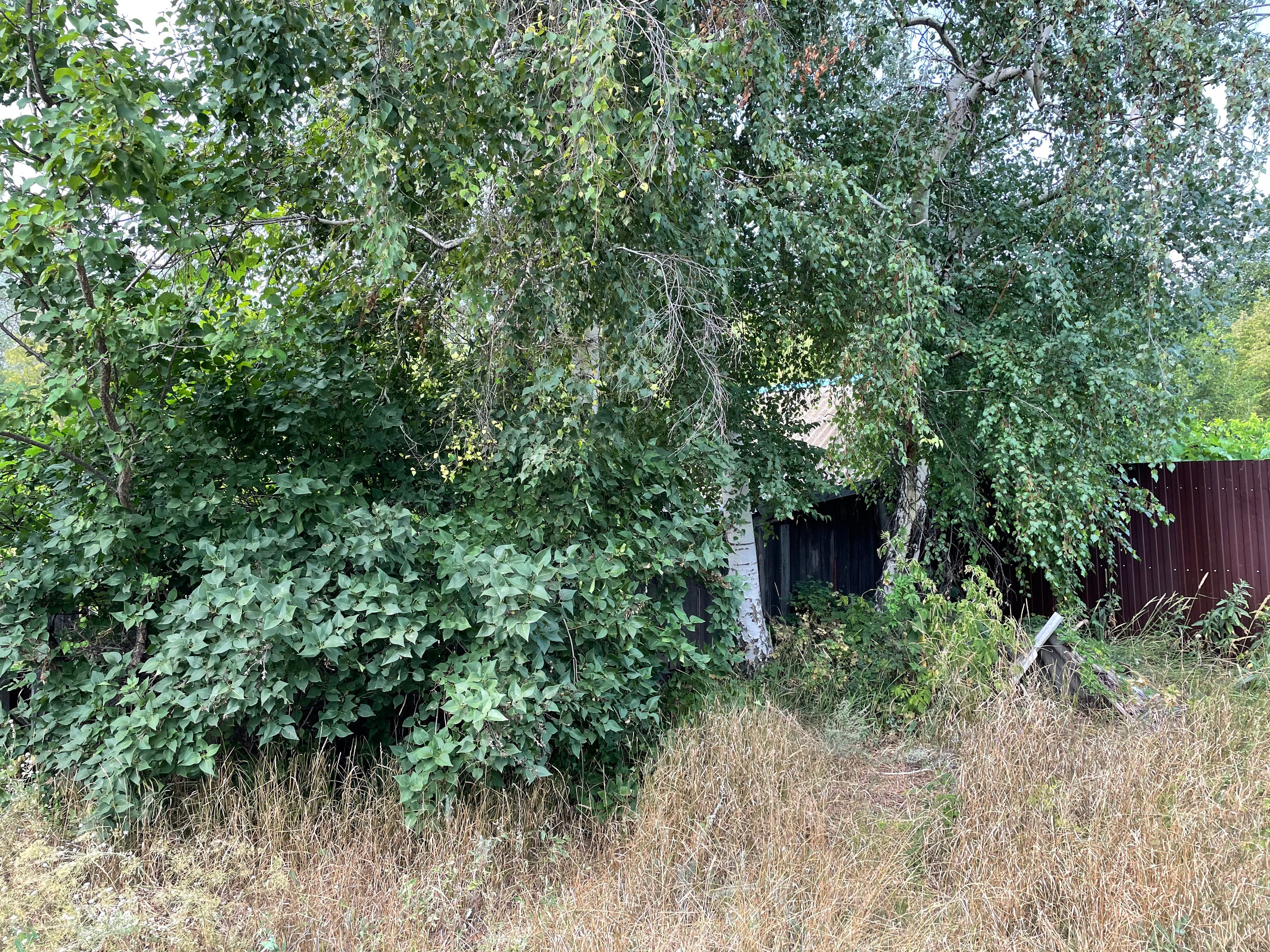 22 340 Дача. ВИЗУАЛЬНЫЕ И ЗВУКОВЫЕ РЕШЕНИЯ ДЛЯ БИЗНЕСА И СЪЁМОК ТЕЛЕТЕЛА