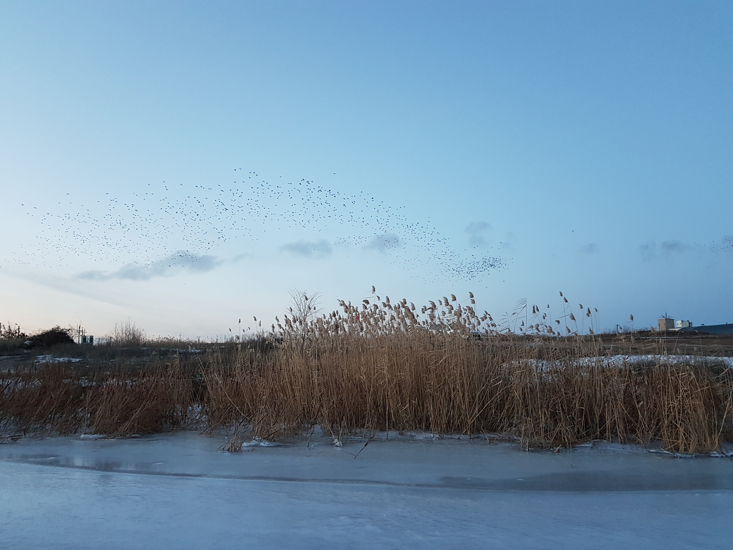 10 065 Берег. ВИЗУАЛЬНЫЕ И ЗВУКОВЫЕ РЕШЕНИЯ ДЛЯ БИЗНЕСА И СЪЁМОК ТЕЛЕТЕЛА