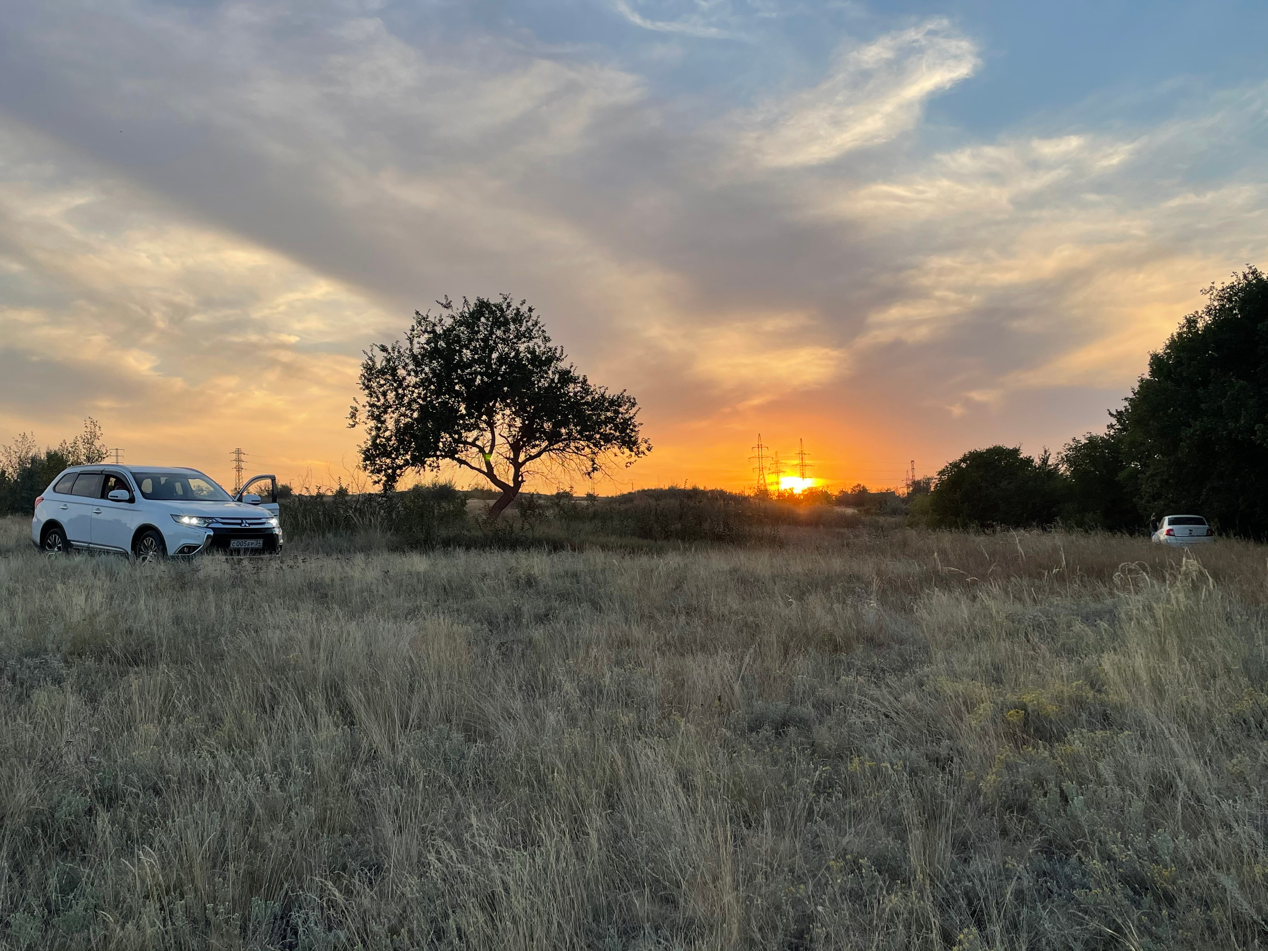 10 704 Степь, дерево, авто. ВИЗУАЛЬНЫЕ И ЗВУКОВЫЕ РЕШЕНИЯ ДЛЯ БИЗНЕСА И СЪЁМОК ТЕЛЕТЕЛА