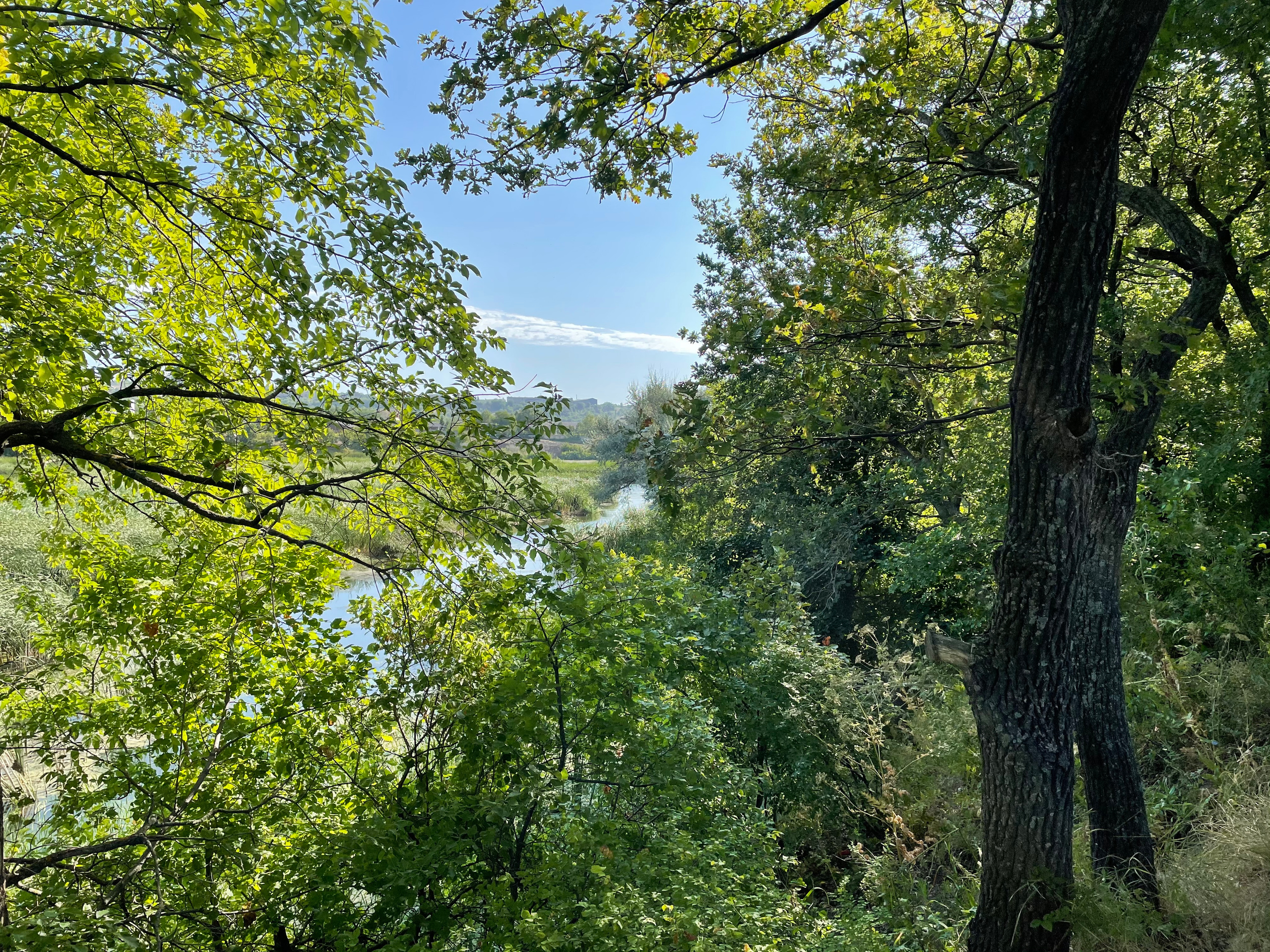 10 020 Берег. ВИЗУАЛЬНЫЕ И ЗВУКОВЫЕ РЕШЕНИЯ ДЛЯ БИЗНЕСА И СЪЁМОК ТЕЛЕТЕЛА