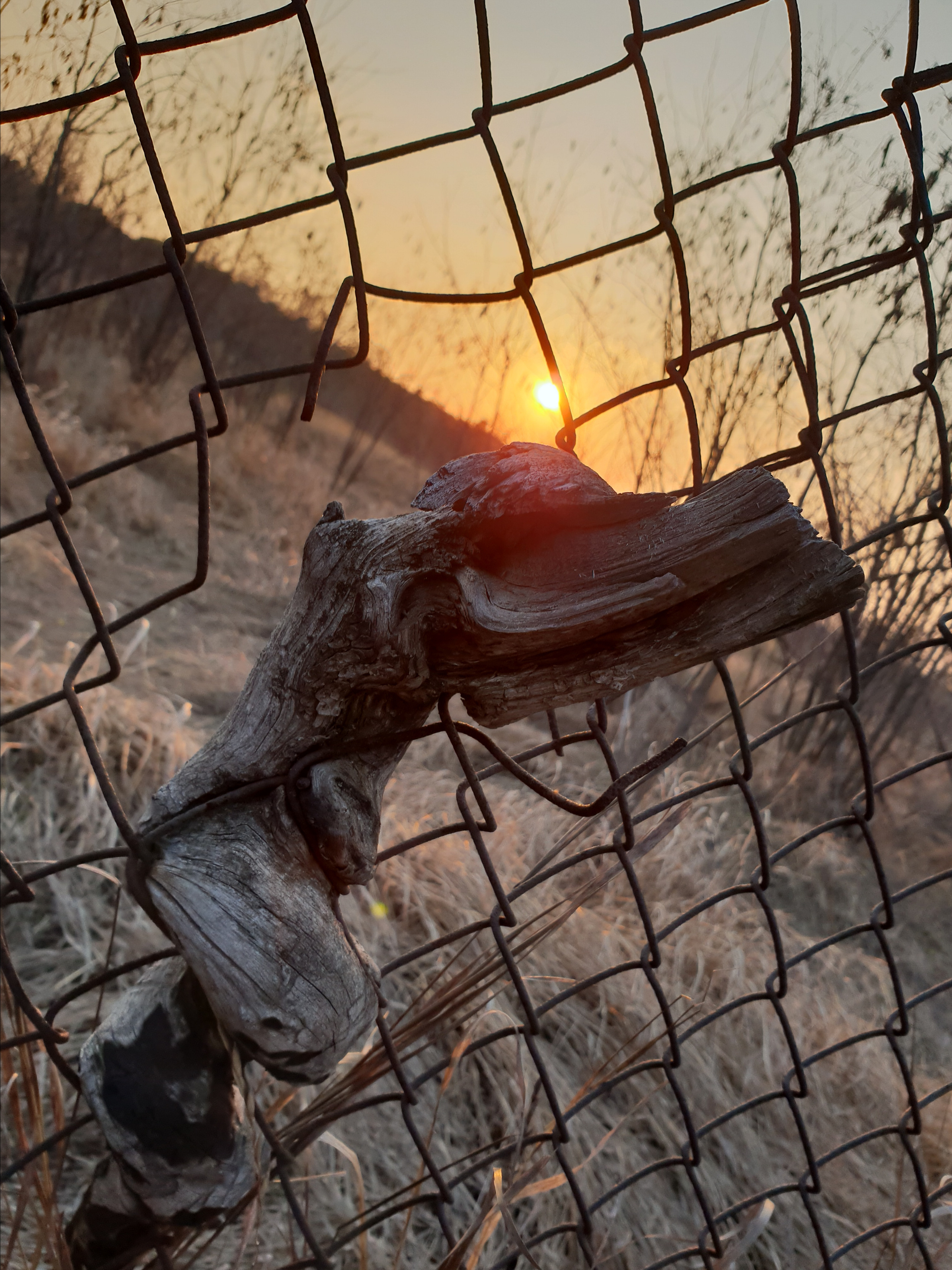 200 008 Изгородь. ВИЗУАЛЬНЫЕ И ЗВУКОВЫЕ РЕШЕНИЯ ДЛЯ БИЗНЕСА И СЪЁМОК ТЕЛЕТЕЛА