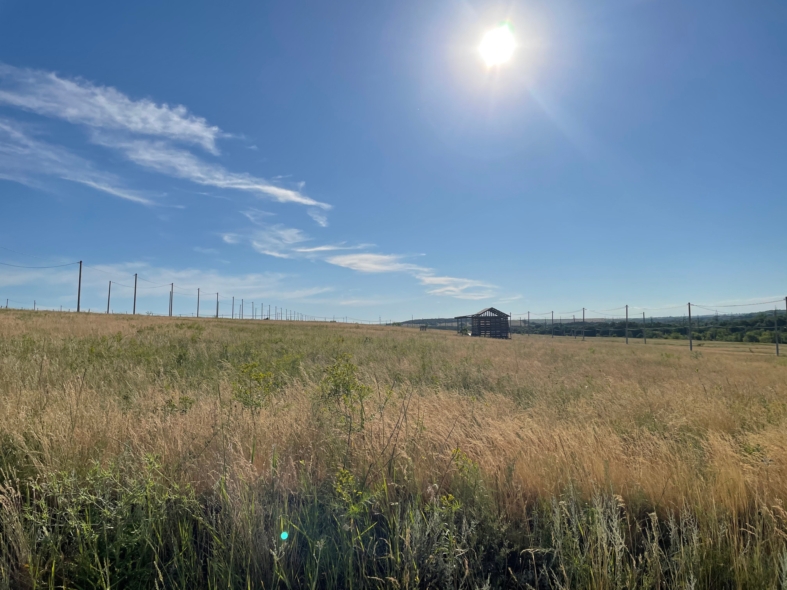 10 570 Степь. Хижина. ВИЗУАЛЬНЫЕ И ЗВУКОВЫЕ РЕШЕНИЯ ДЛЯ БИЗНЕСА И СЪЁМОК ТЕЛЕТЕЛА