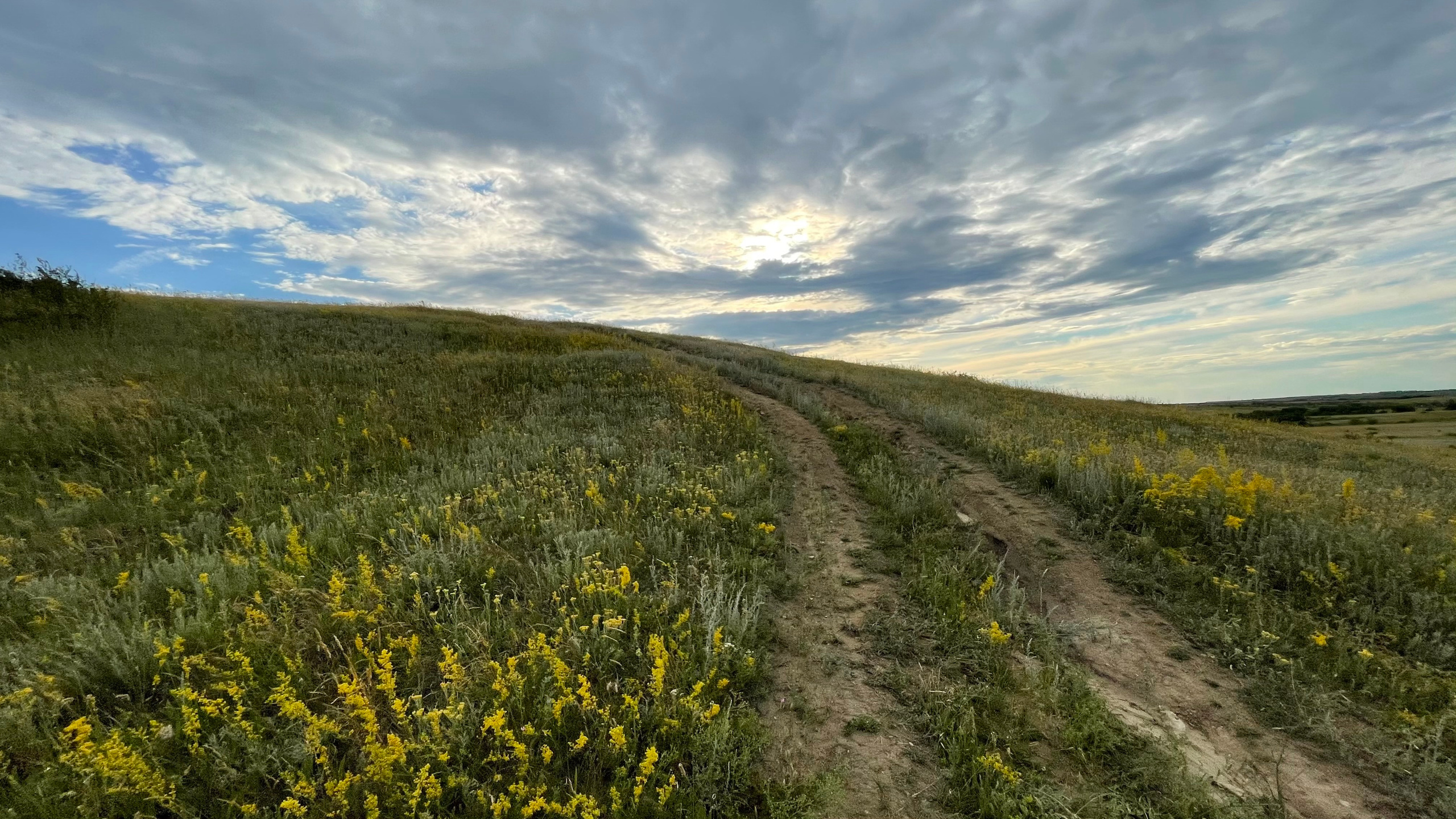 10 560 Степь. Курган. ВИЗУАЛЬНЫЕ И ЗВУКОВЫЕ РЕШЕНИЯ ДЛЯ БИЗНЕСА И СЪЁМОК ТЕЛЕТЕЛА