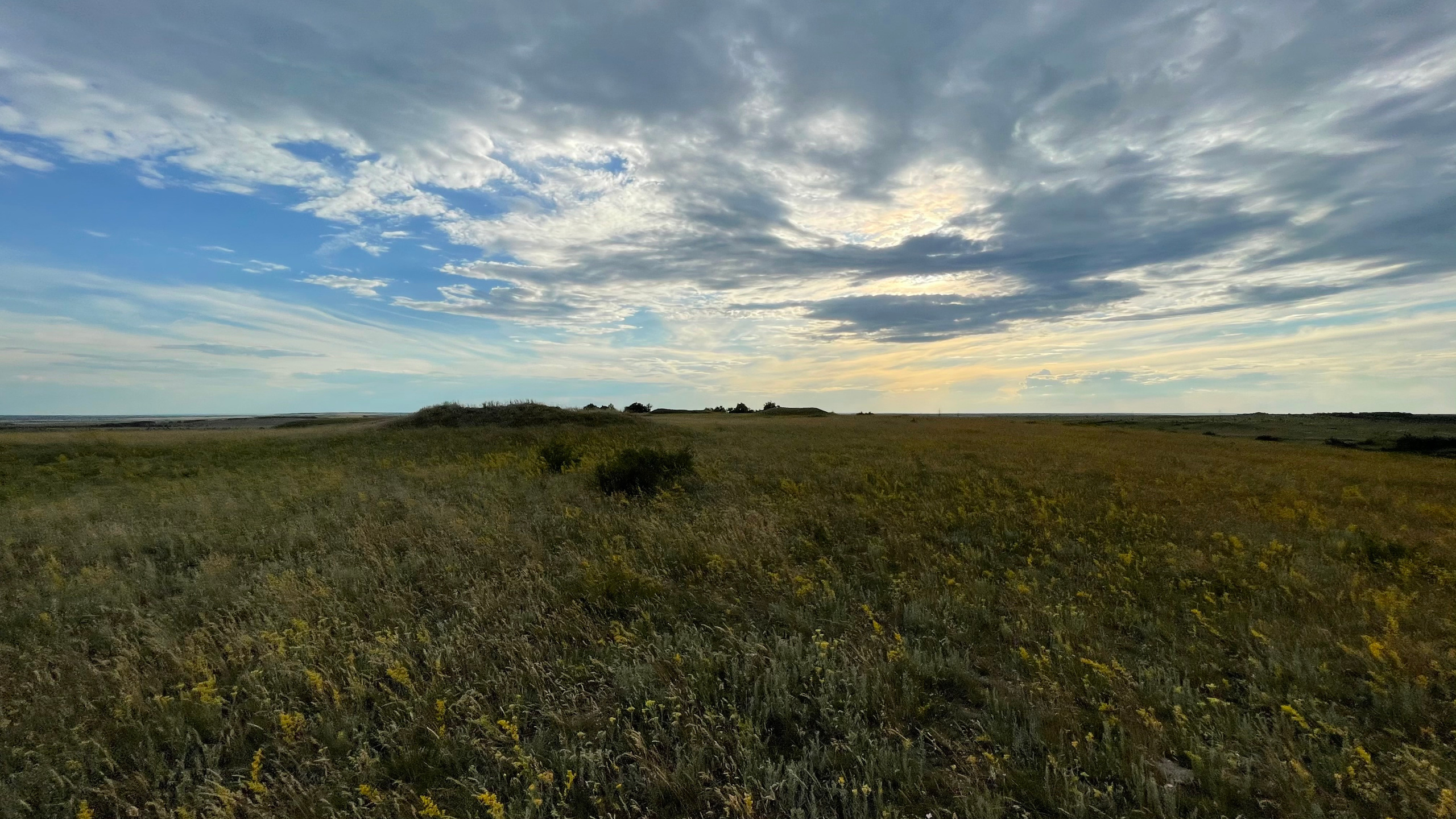 10 511 Степь. ВИЗУАЛЬНЫЕ И ЗВУКОВЫЕ РЕШЕНИЯ ДЛЯ БИЗНЕСА И СЪЁМОК ТЕЛЕТЕЛА