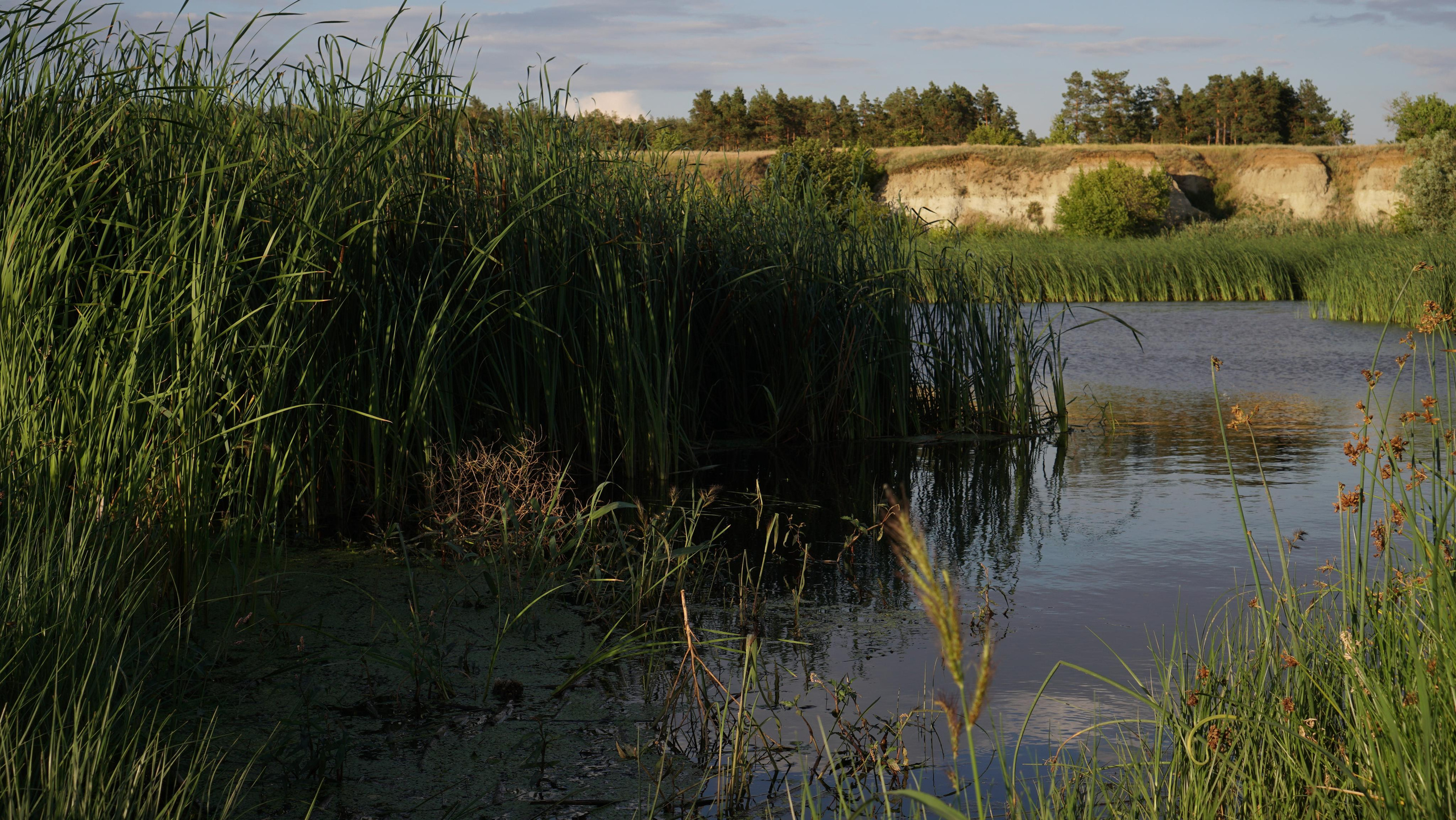 10 071 Берег. ВИЗУАЛЬНЫЕ И ЗВУКОВЫЕ РЕШЕНИЯ ДЛЯ БИЗНЕСА И СЪЁМОК ТЕЛЕТЕЛА