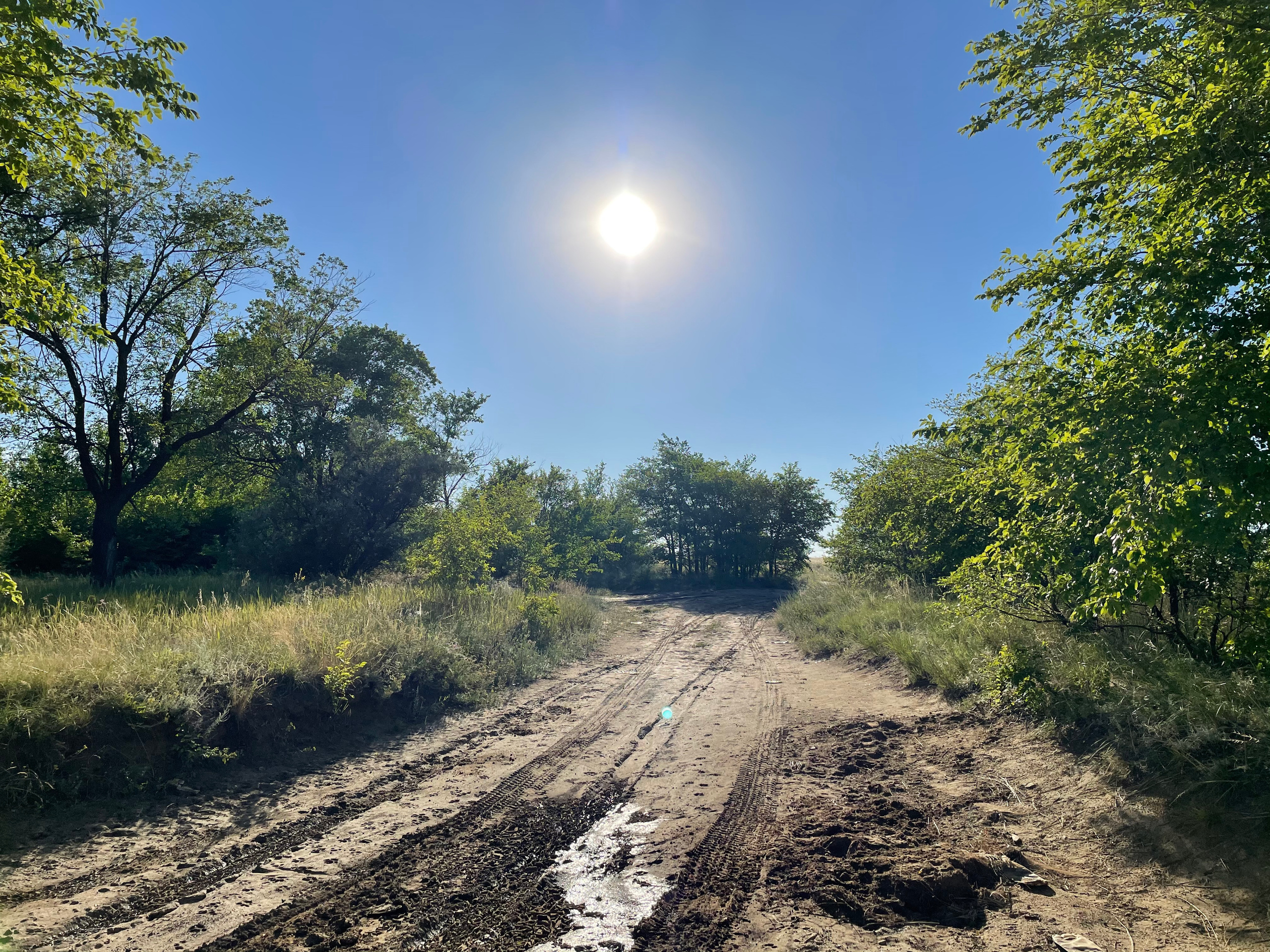 50 007 Дорога грунтовая. ВИЗУАЛЬНЫЕ И ЗВУКОВЫЕ РЕШЕНИЯ ДЛЯ БИЗНЕСА И СЪЁМОК ТЕЛЕТЕЛА