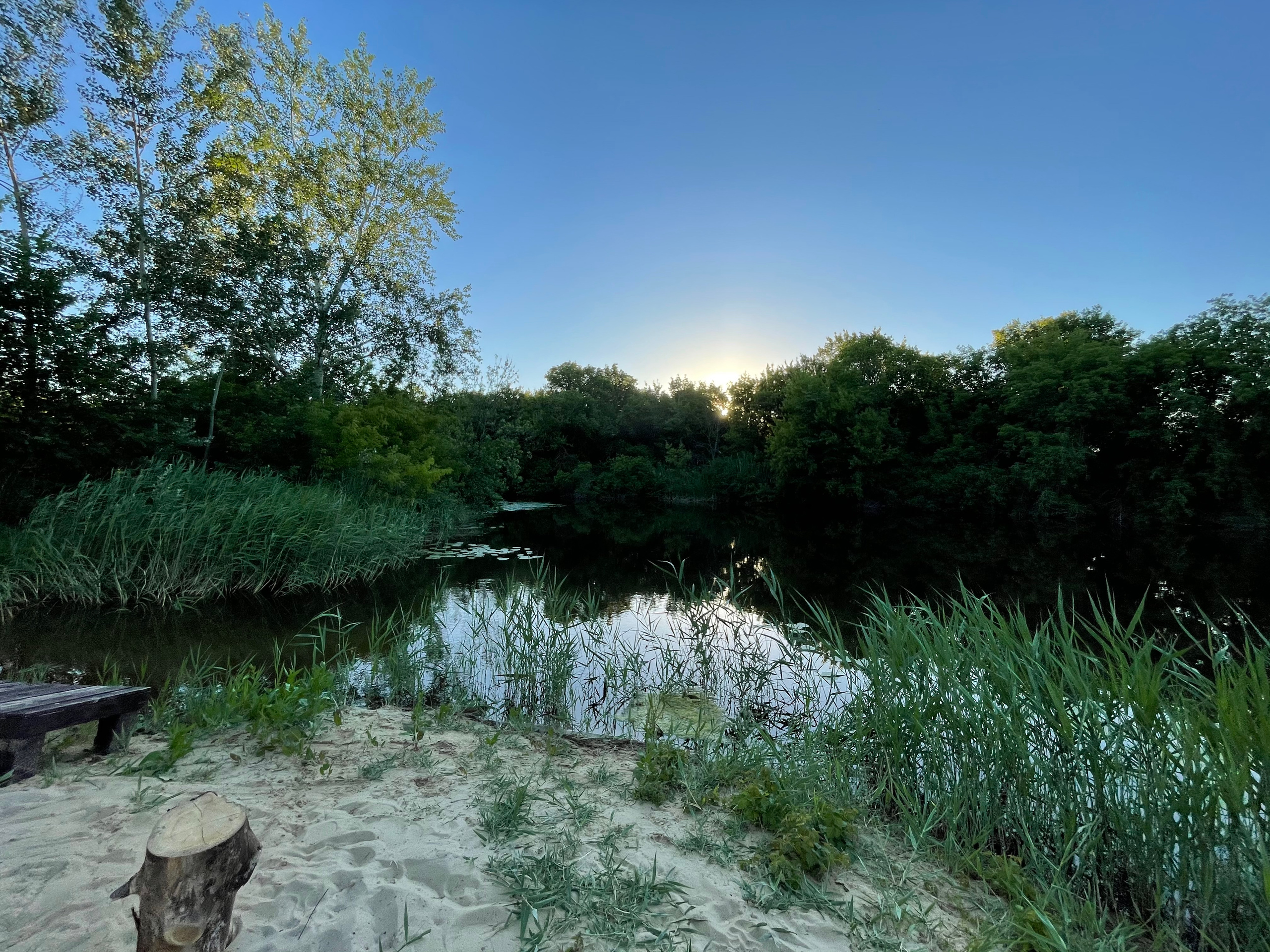 10 051 Берег. ВИЗУАЛЬНЫЕ И ЗВУКОВЫЕ РЕШЕНИЯ ДЛЯ БИЗНЕСА И СЪЁМОК ТЕЛЕТЕЛА