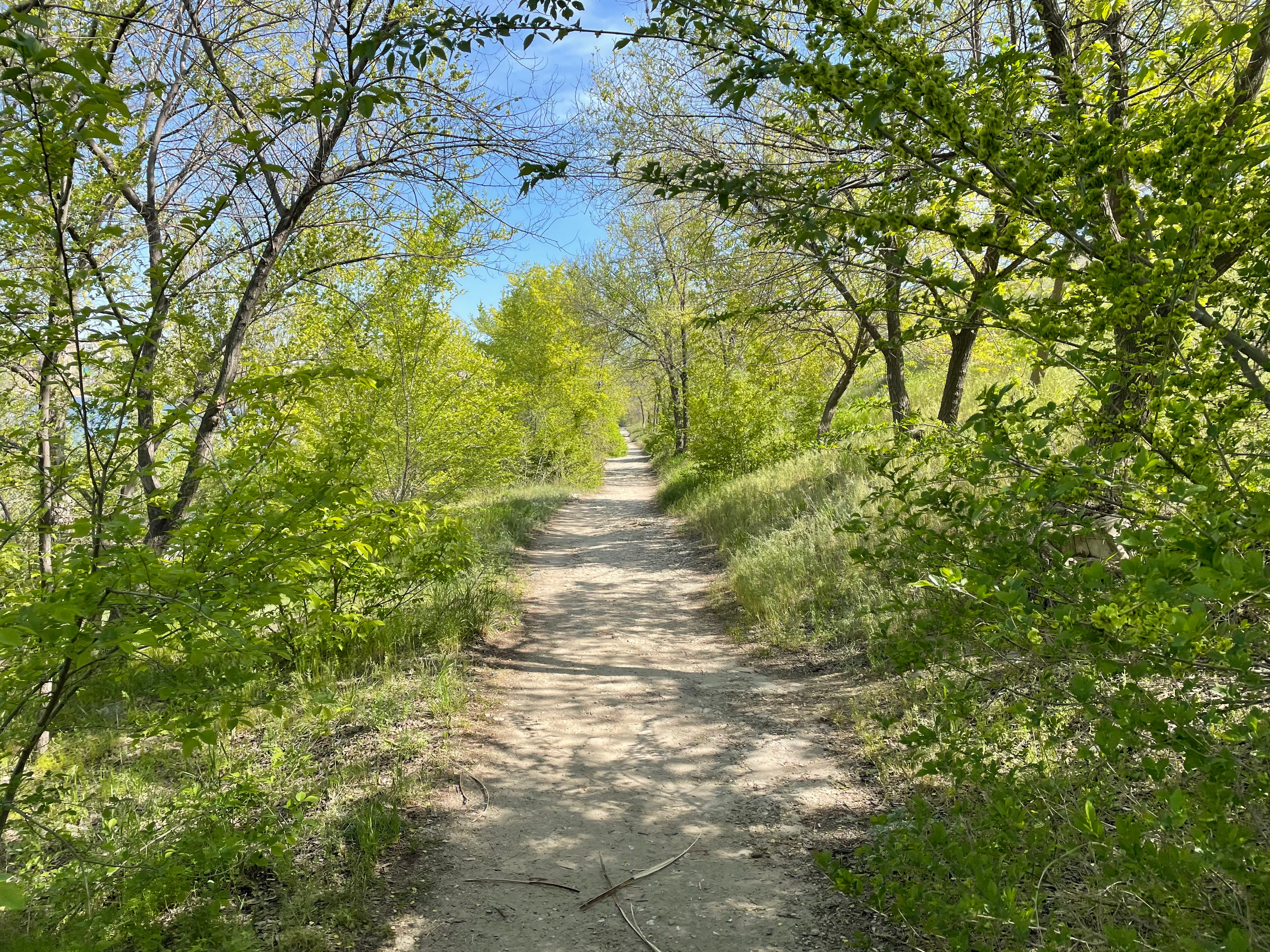 50 018 Тропа. ВИЗУАЛЬНЫЕ И ЗВУКОВЫЕ РЕШЕНИЯ ДЛЯ БИЗНЕСА И СЪЁМОК ТЕЛЕТЕЛА