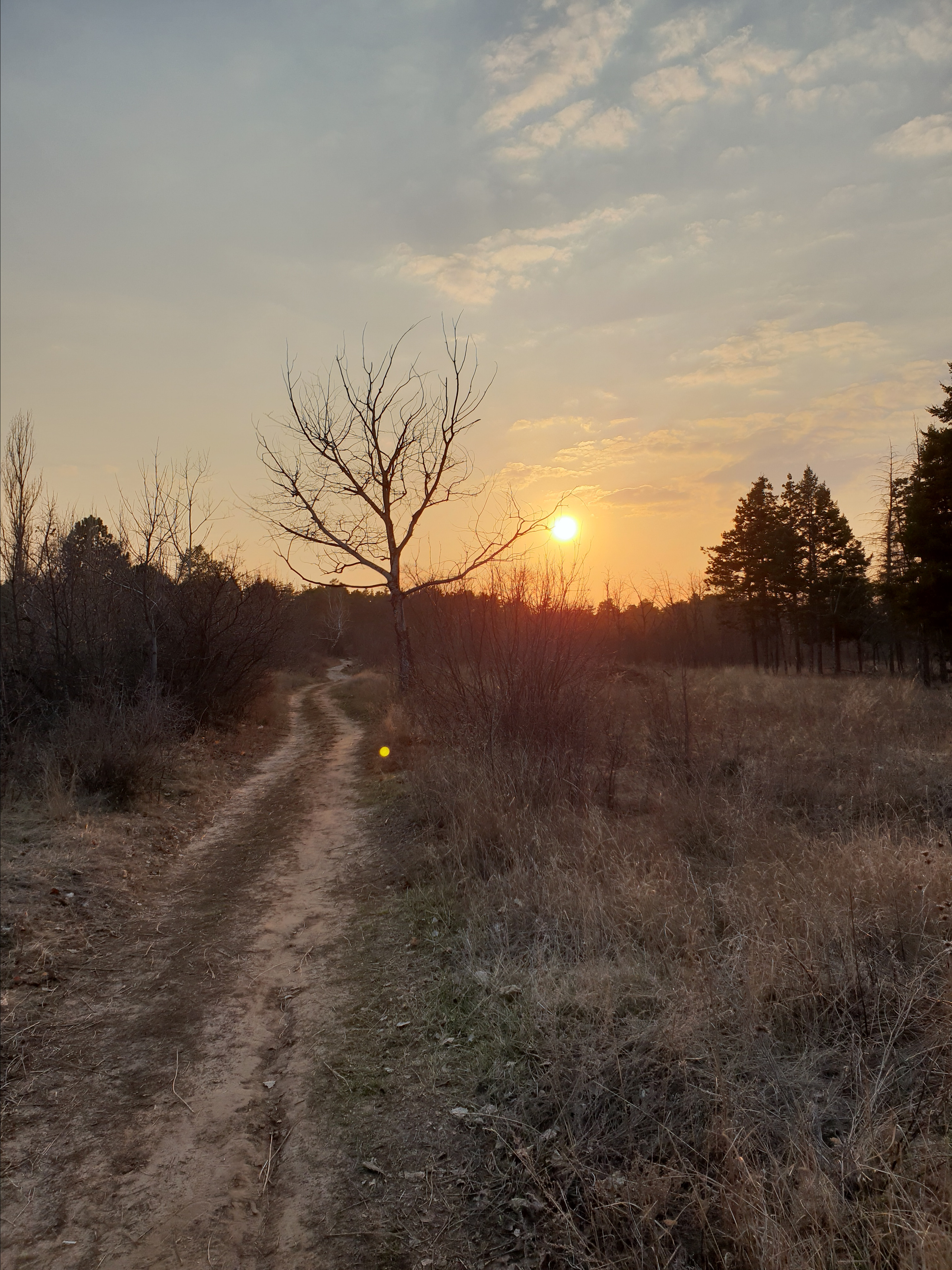 12 102 Лес. ВИЗУАЛЬНЫЕ И ЗВУКОВЫЕ РЕШЕНИЯ ДЛЯ БИЗНЕСА И СЪЁМОК ТЕЛЕТЕЛА