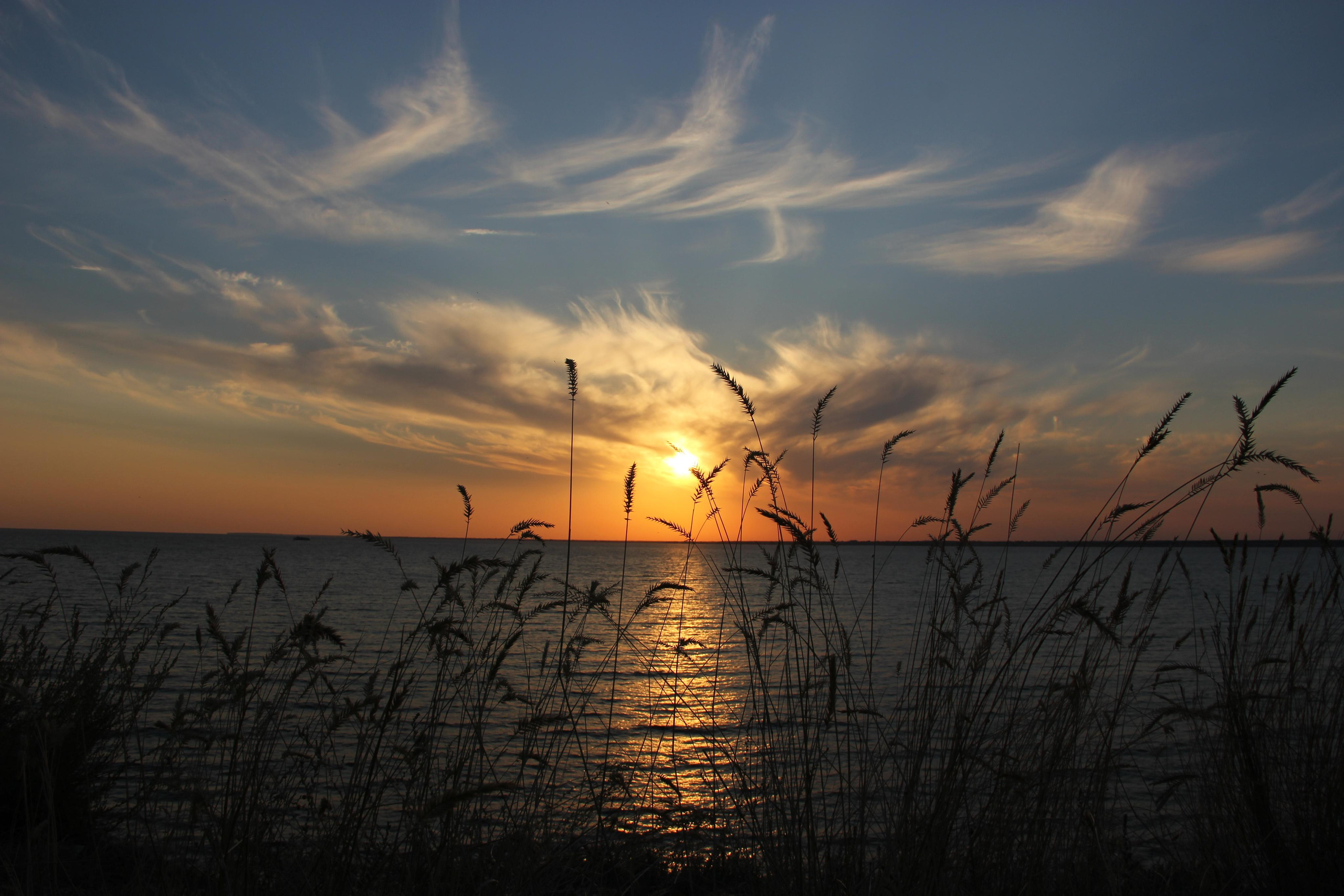 10 067 Берег. ВИЗУАЛЬНЫЕ И ЗВУКОВЫЕ РЕШЕНИЯ ДЛЯ БИЗНЕСА И СЪЁМОК ТЕЛЕТЕЛА