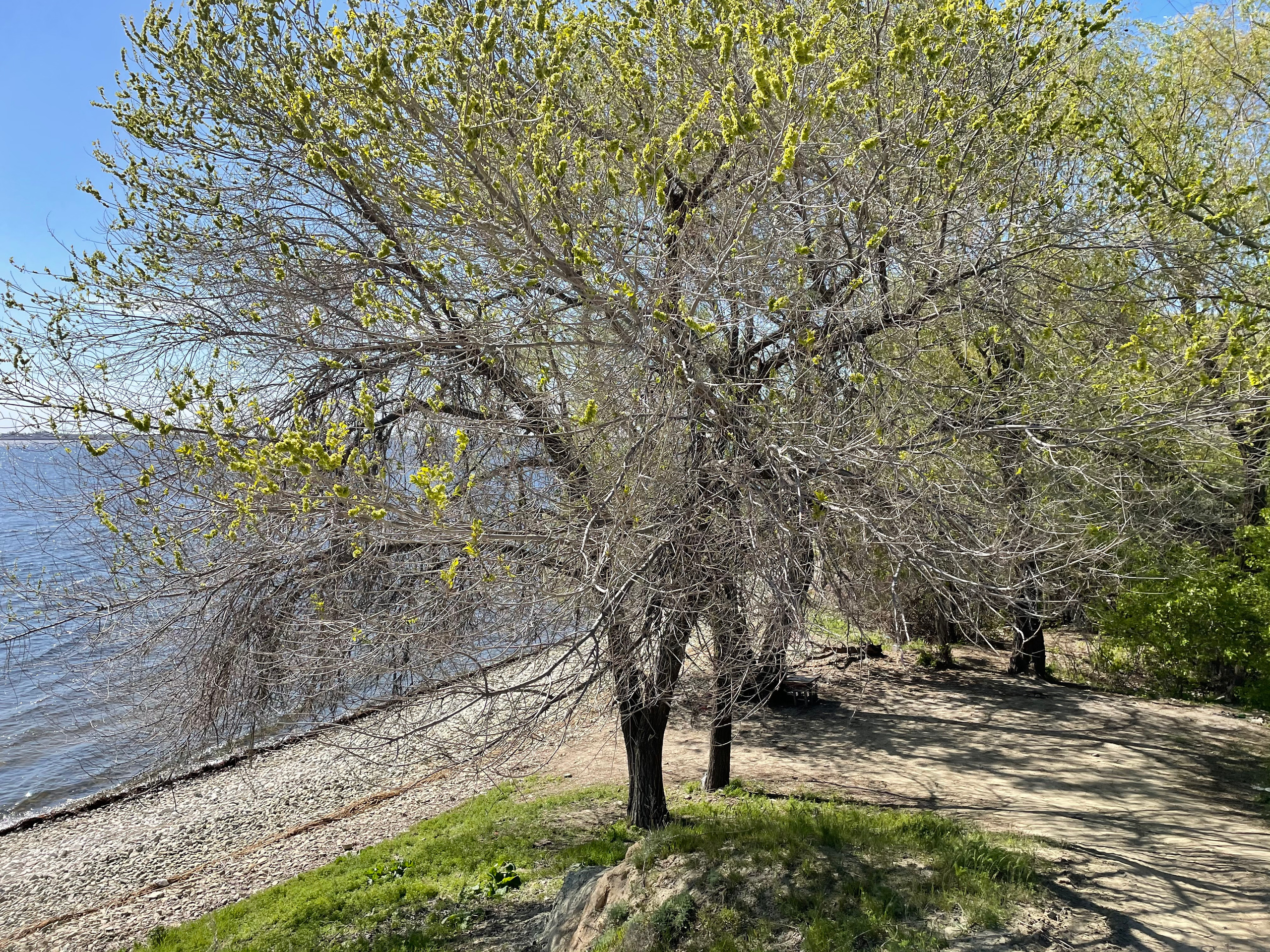 10 045 Берег. ВИЗУАЛЬНЫЕ И ЗВУКОВЫЕ РЕШЕНИЯ ДЛЯ БИЗНЕСА И СЪЁМОК ТЕЛЕТЕЛА
