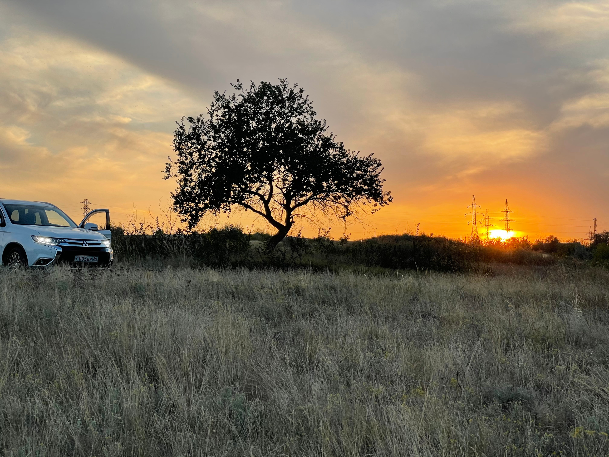 10 704 Степь, дерево, авто. ВИЗУАЛЬНЫЕ И ЗВУКОВЫЕ РЕШЕНИЯ ДЛЯ БИЗНЕСА И СЪЁМОК ТЕЛЕТЕЛА