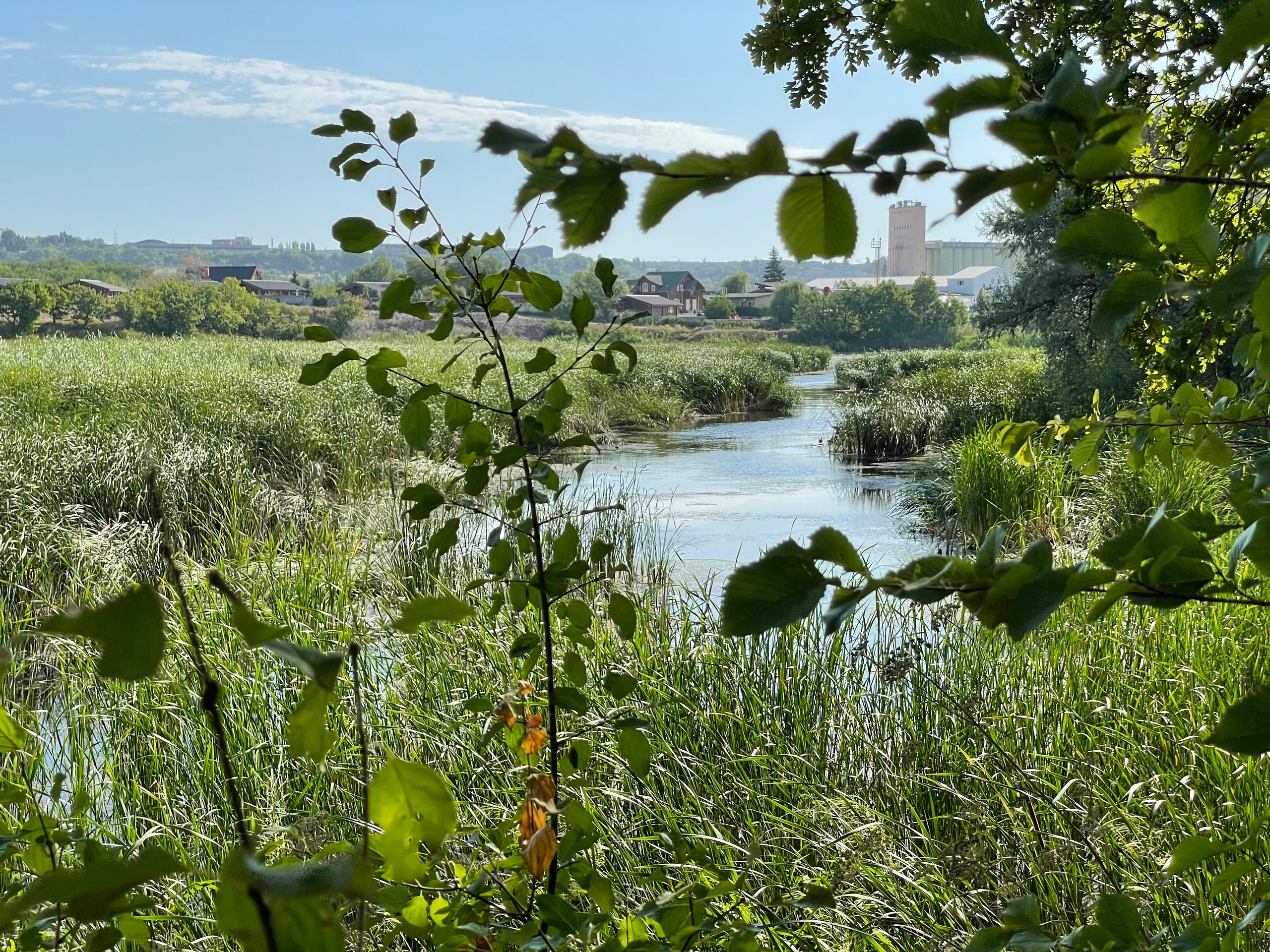 10 015 Берег. ВИЗУАЛЬНЫЕ И ЗВУКОВЫЕ РЕШЕНИЯ ДЛЯ БИЗНЕСА И СЪЁМОК ТЕЛЕТЕЛА