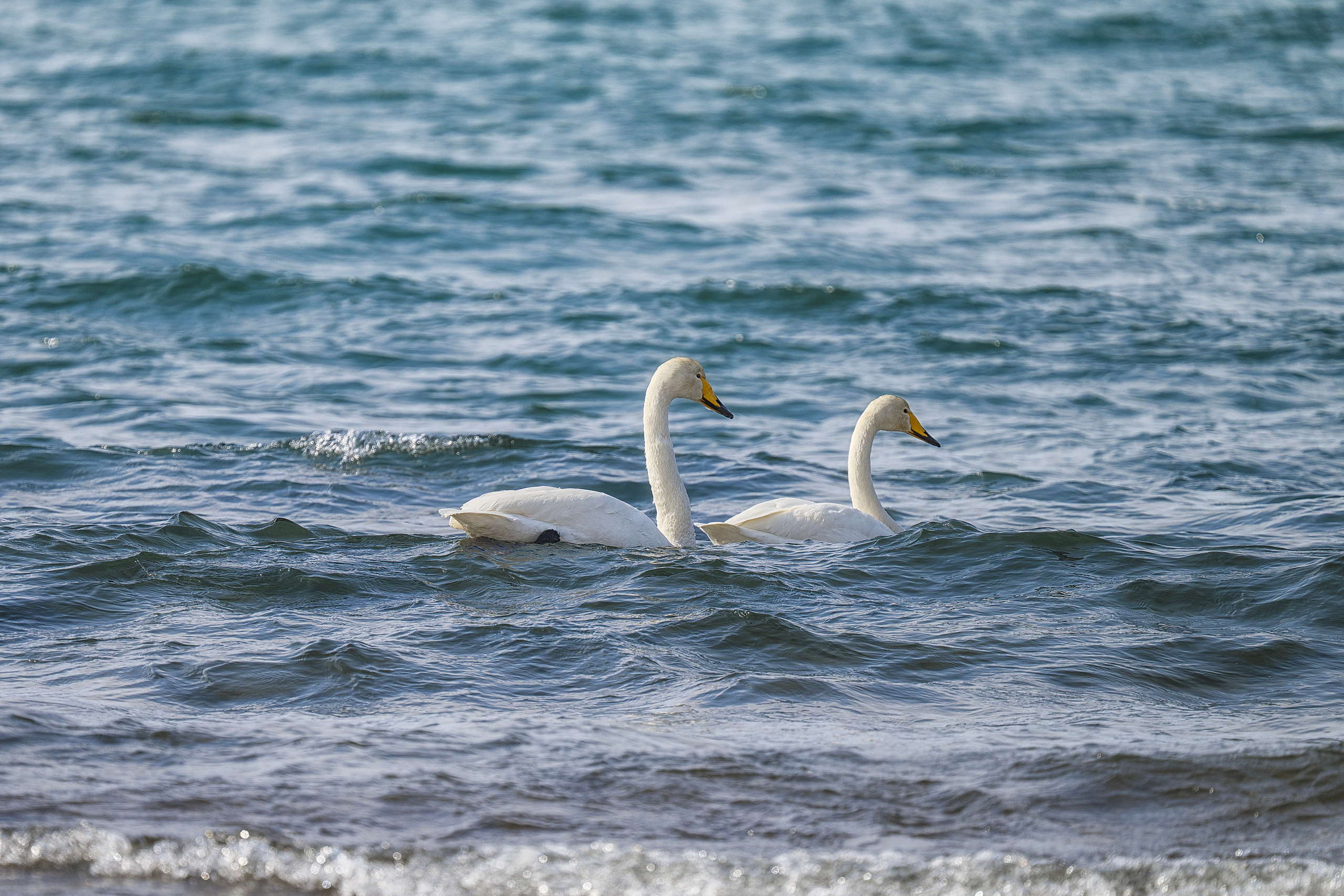 Курильские острова. Портретный фотограф в Челябинске Катерина Руди