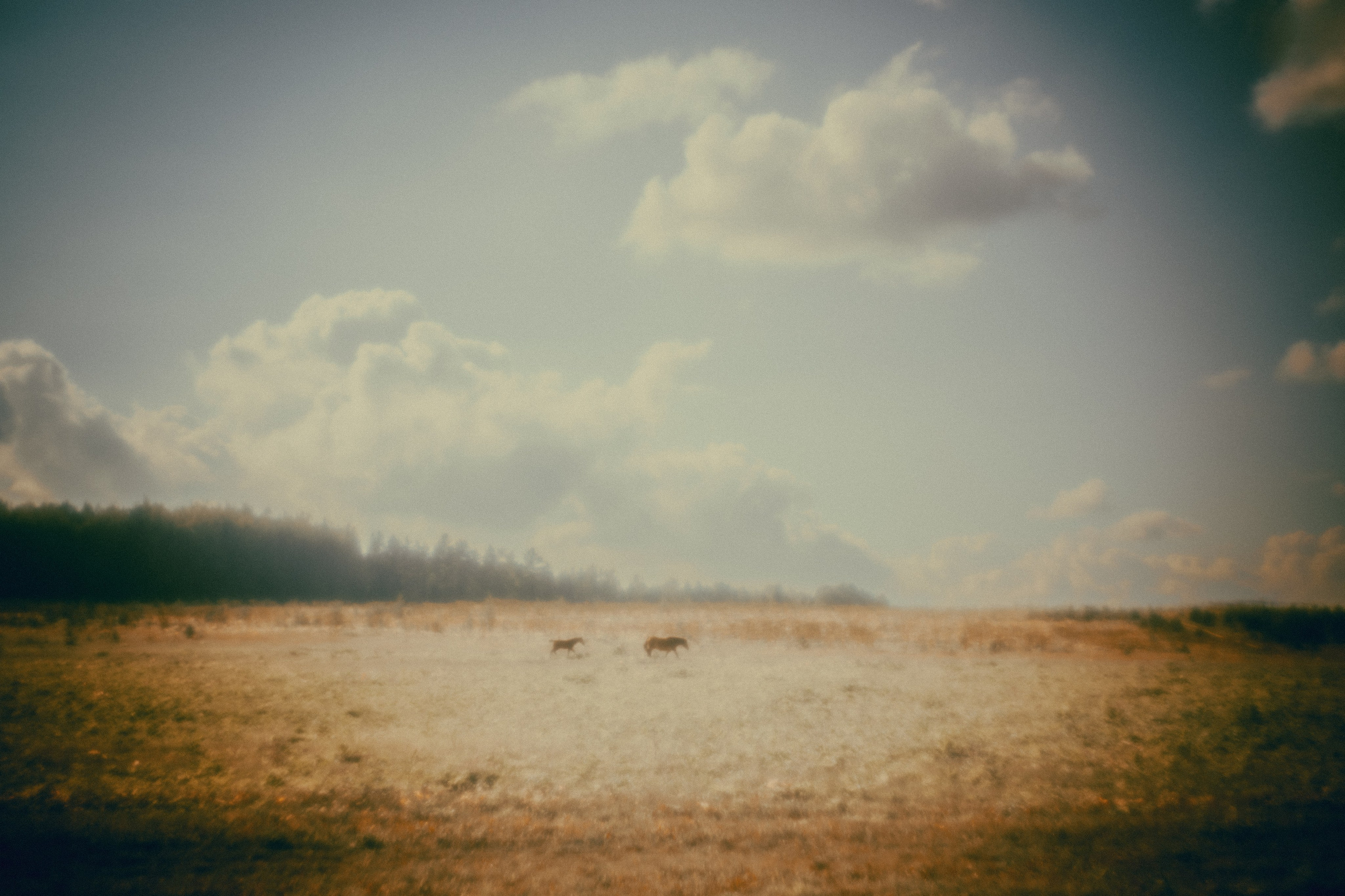 Метафизика. Фотограф Александр Тихонов