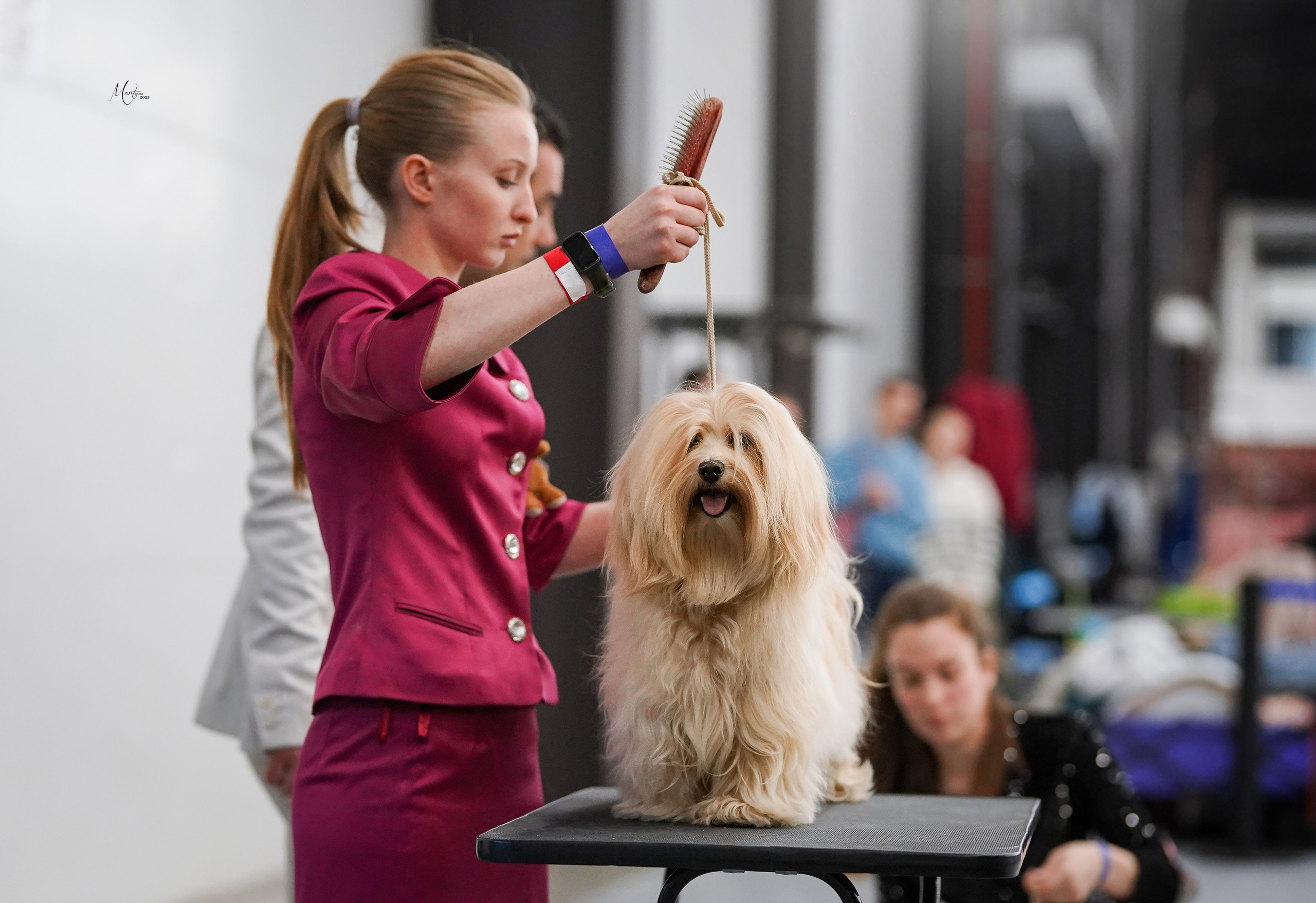 Выставки 2025. Фотограф-анималист в Санкт-Петербурге Яна Мартынова