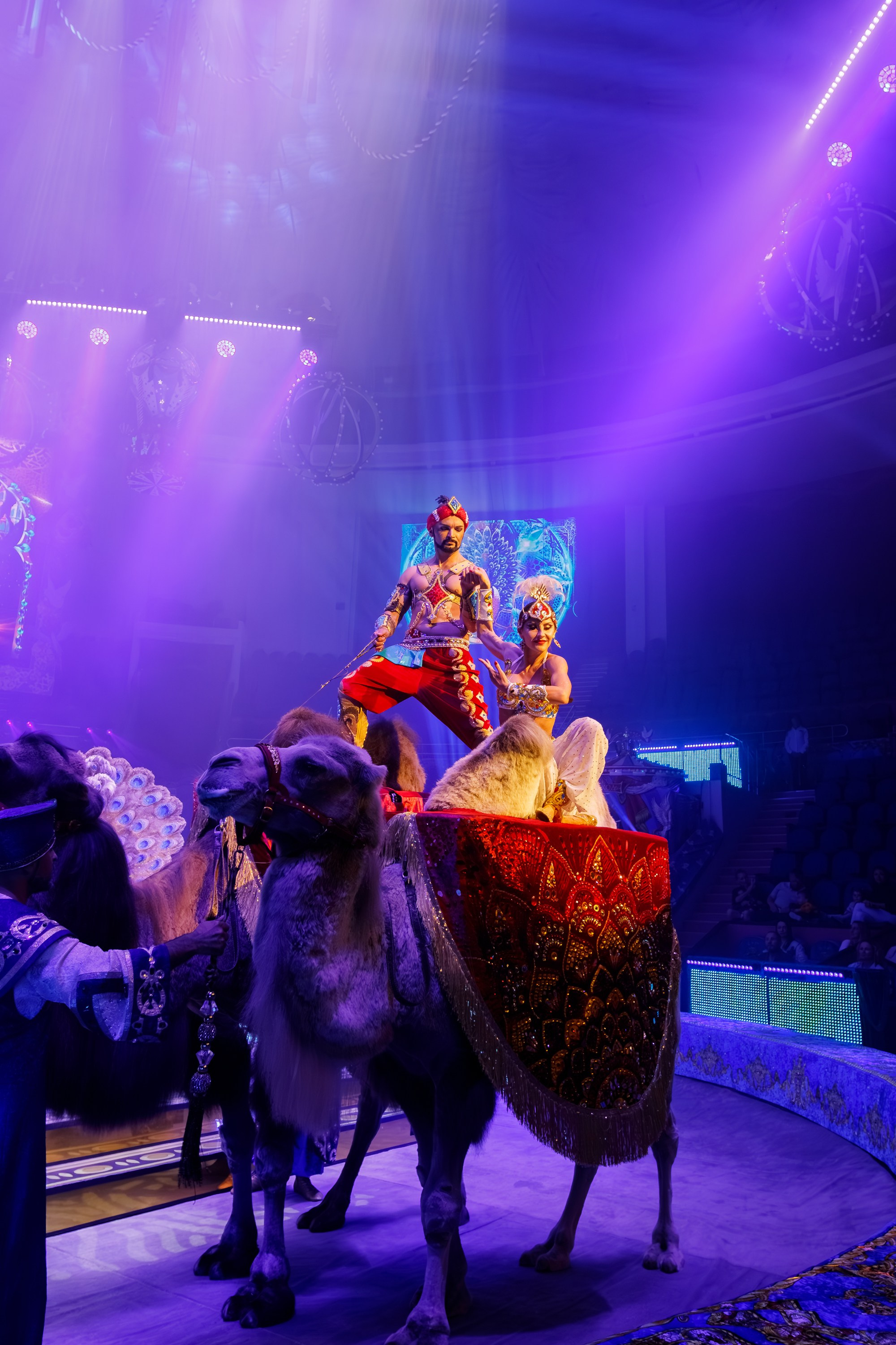 Сочинский росгорцирк Шоу Гии Эрадзе цирк. Профессиональный фотограф в Сочи Виктория Джой. Обучение