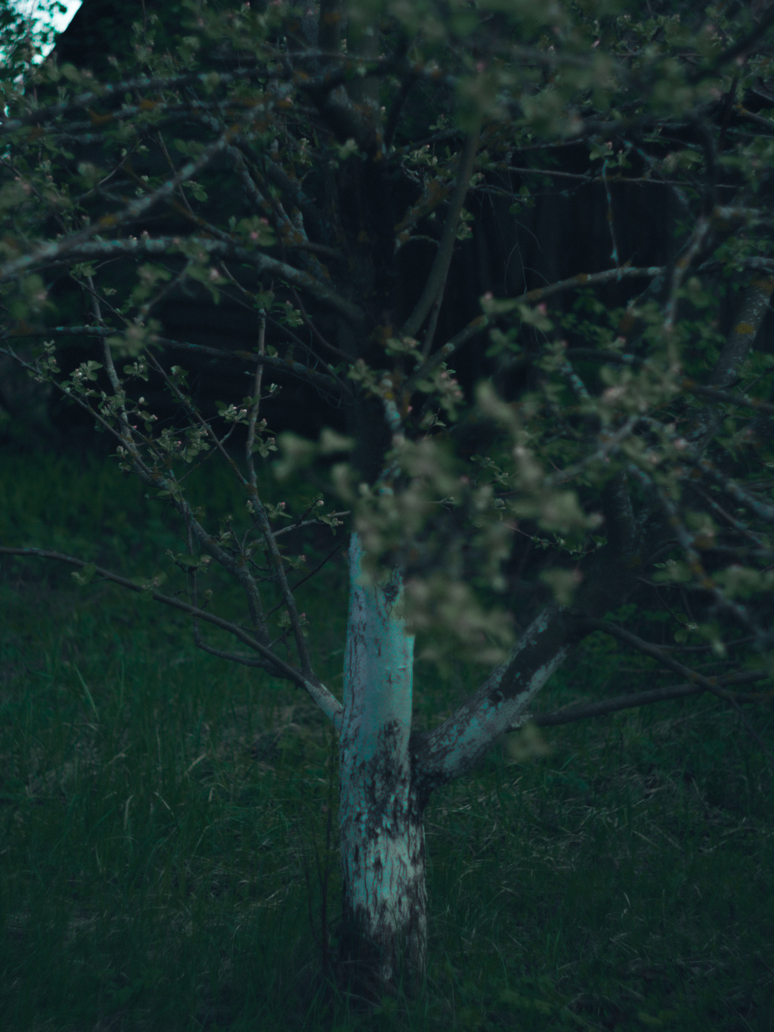 Ksenia. Индивидуальный фотограф в Саранске Светлана Капусткина