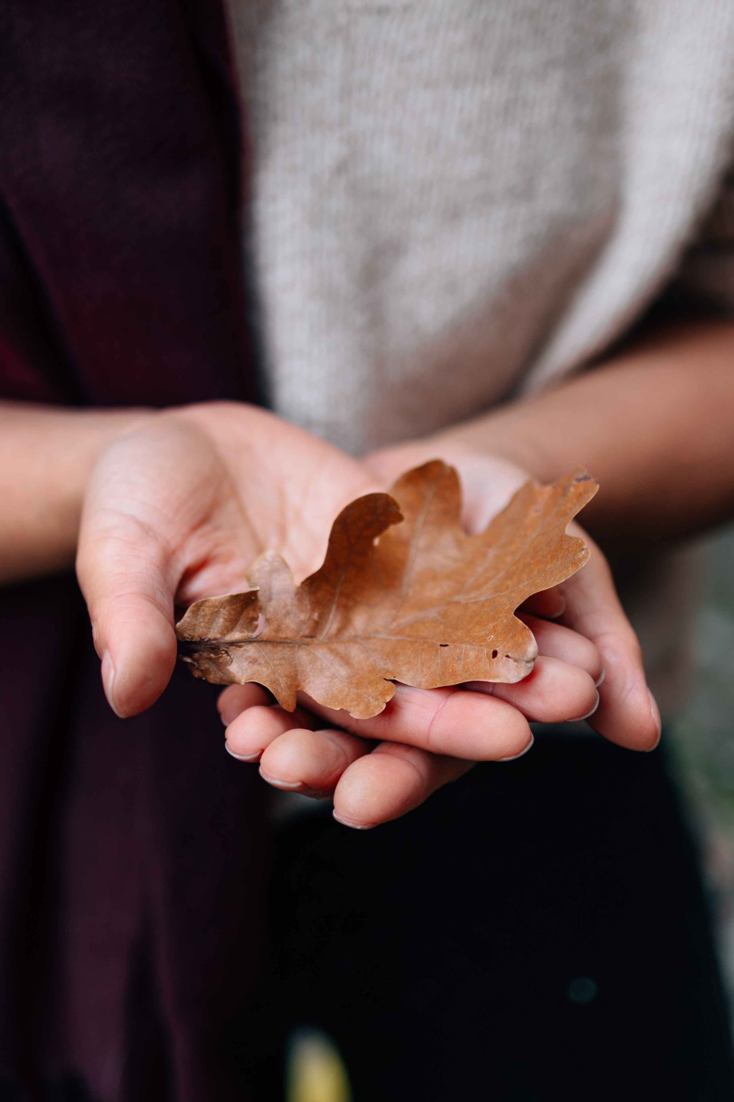 Прогулка по городу. Главная