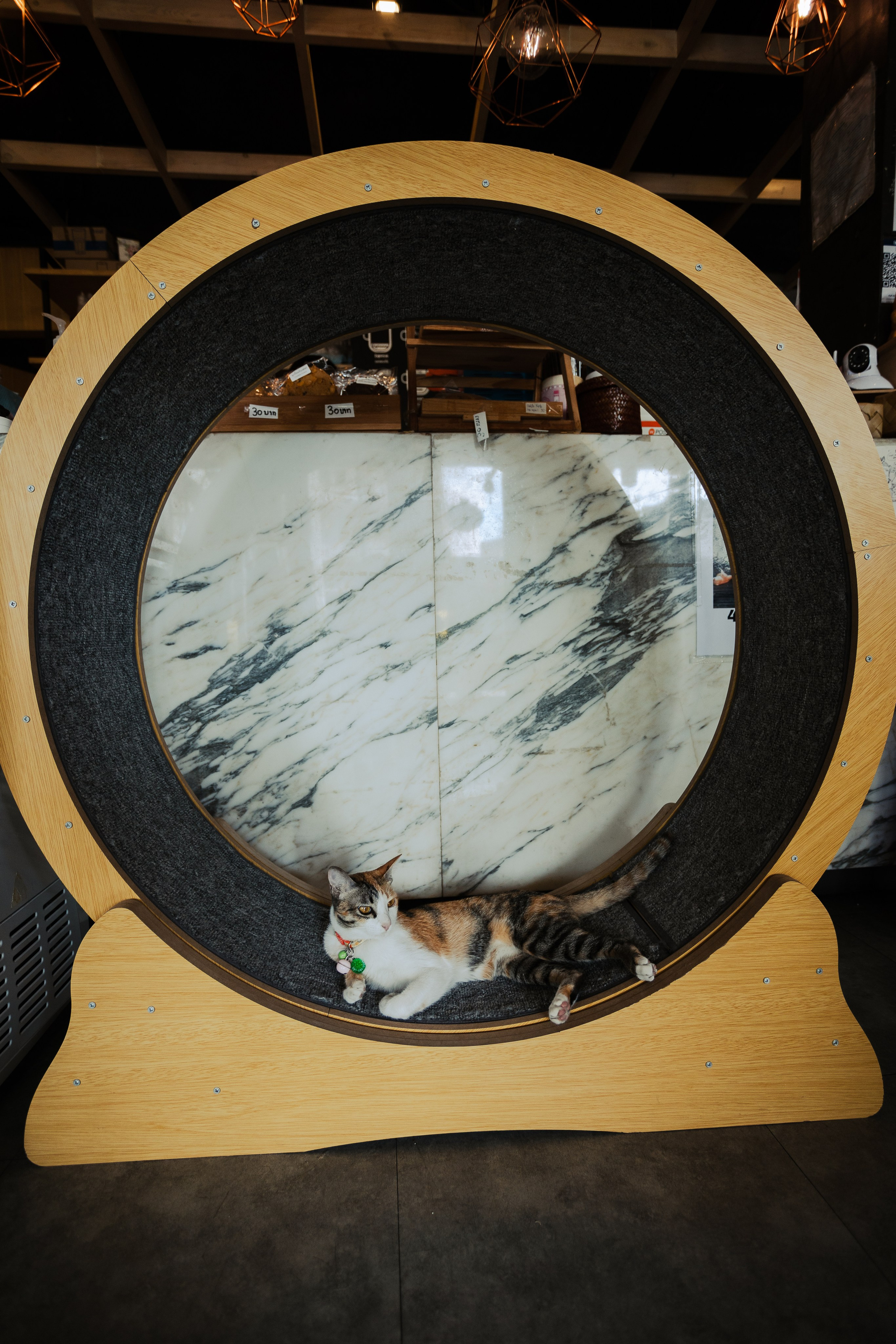 Cazz Cafe. Фотограф Сонкина Татьяна