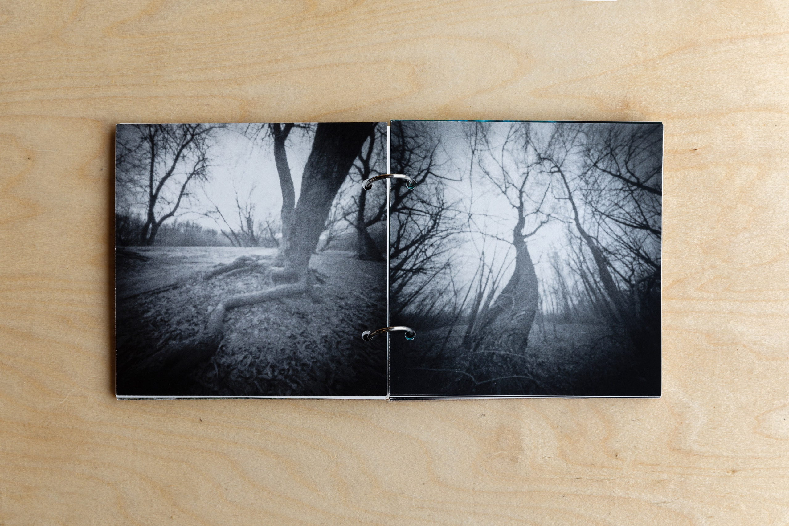 Beetlemania. Лера Круглова