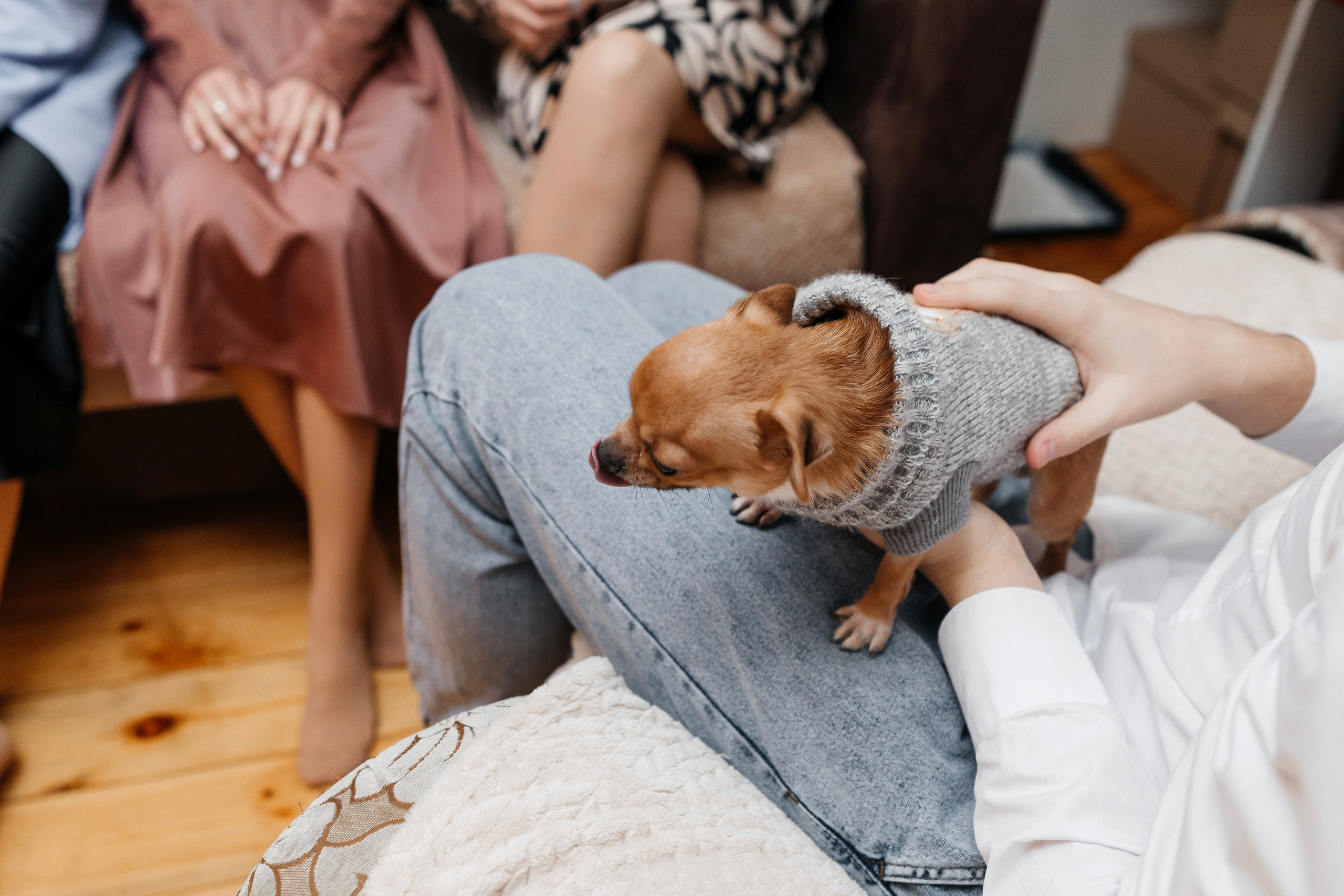 Николай и Екатерина. Свадебный и семейный фотограф в Нижнем Новгороде Варламов Алексей