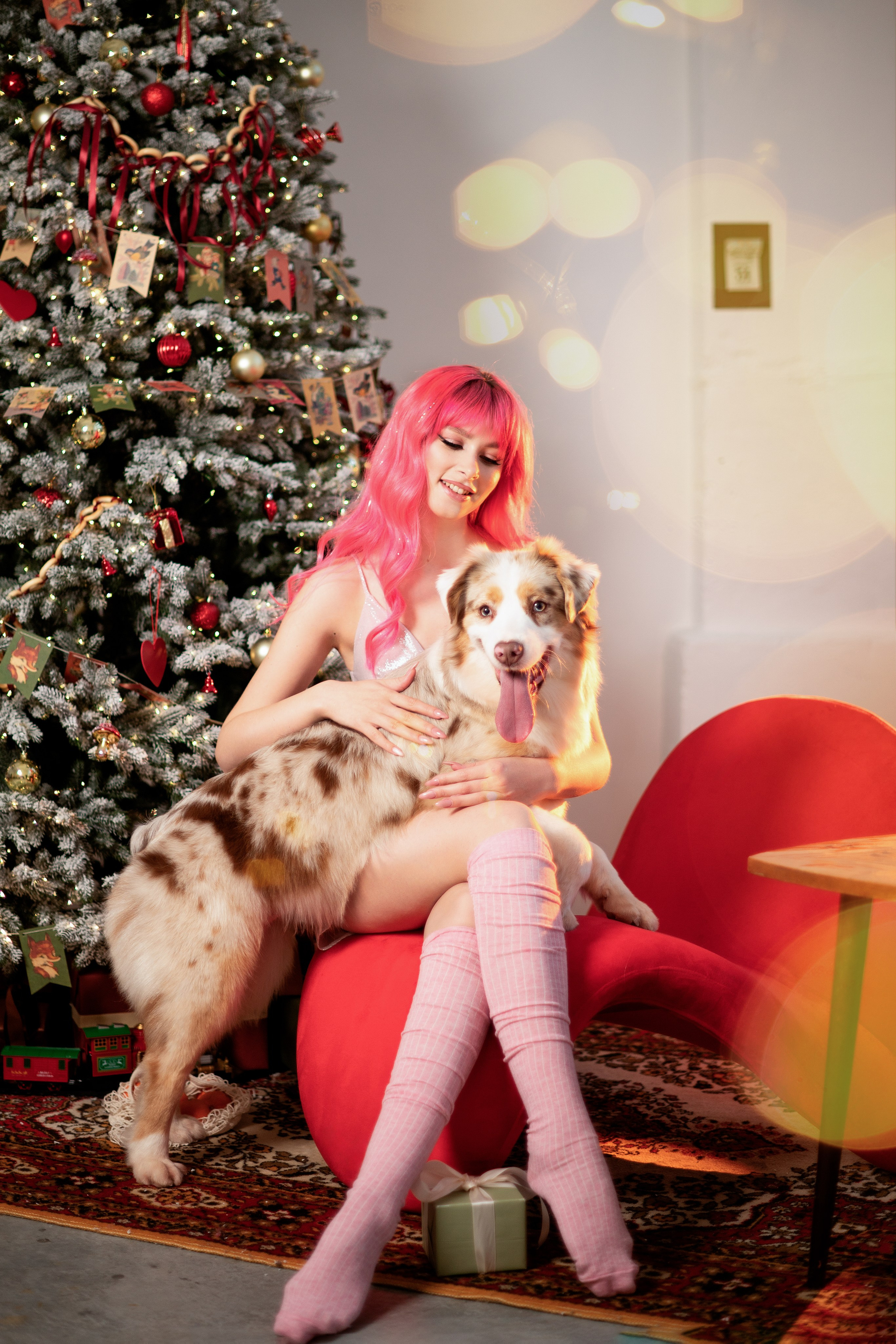 Фотодень с Австралийской овчаркой. Творческий фотограф Вологда