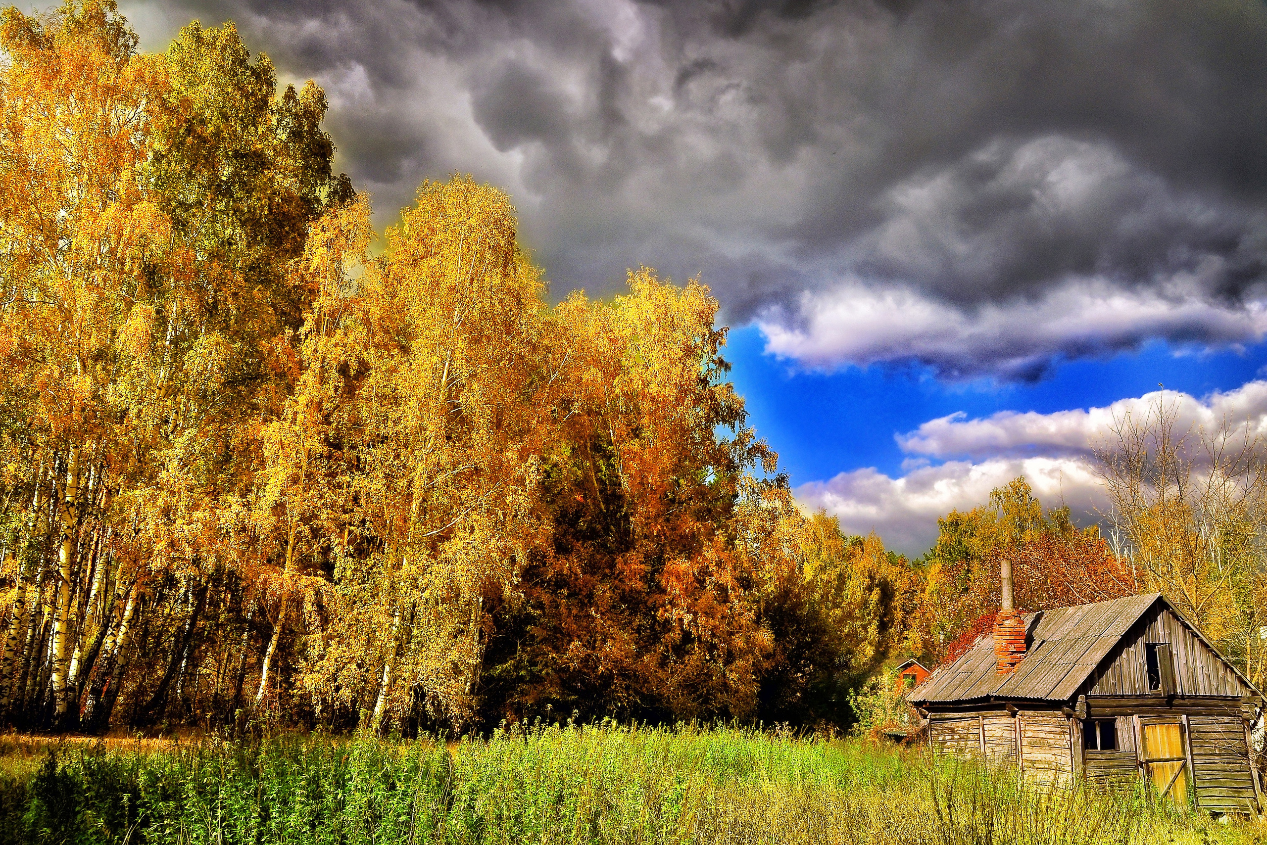 Природа. Главная