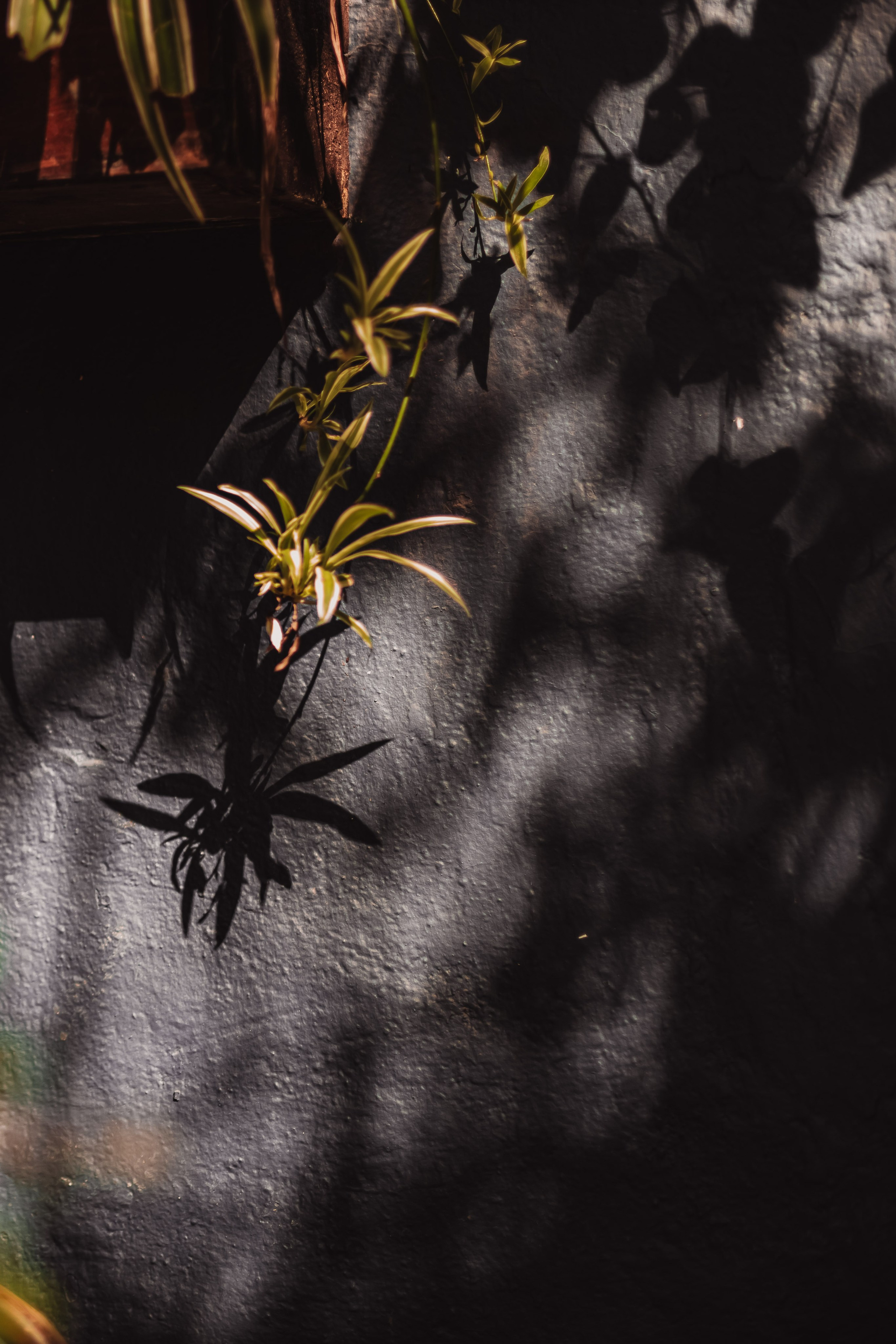 Italy in Moscow w Anna. Мариам Багдасарян