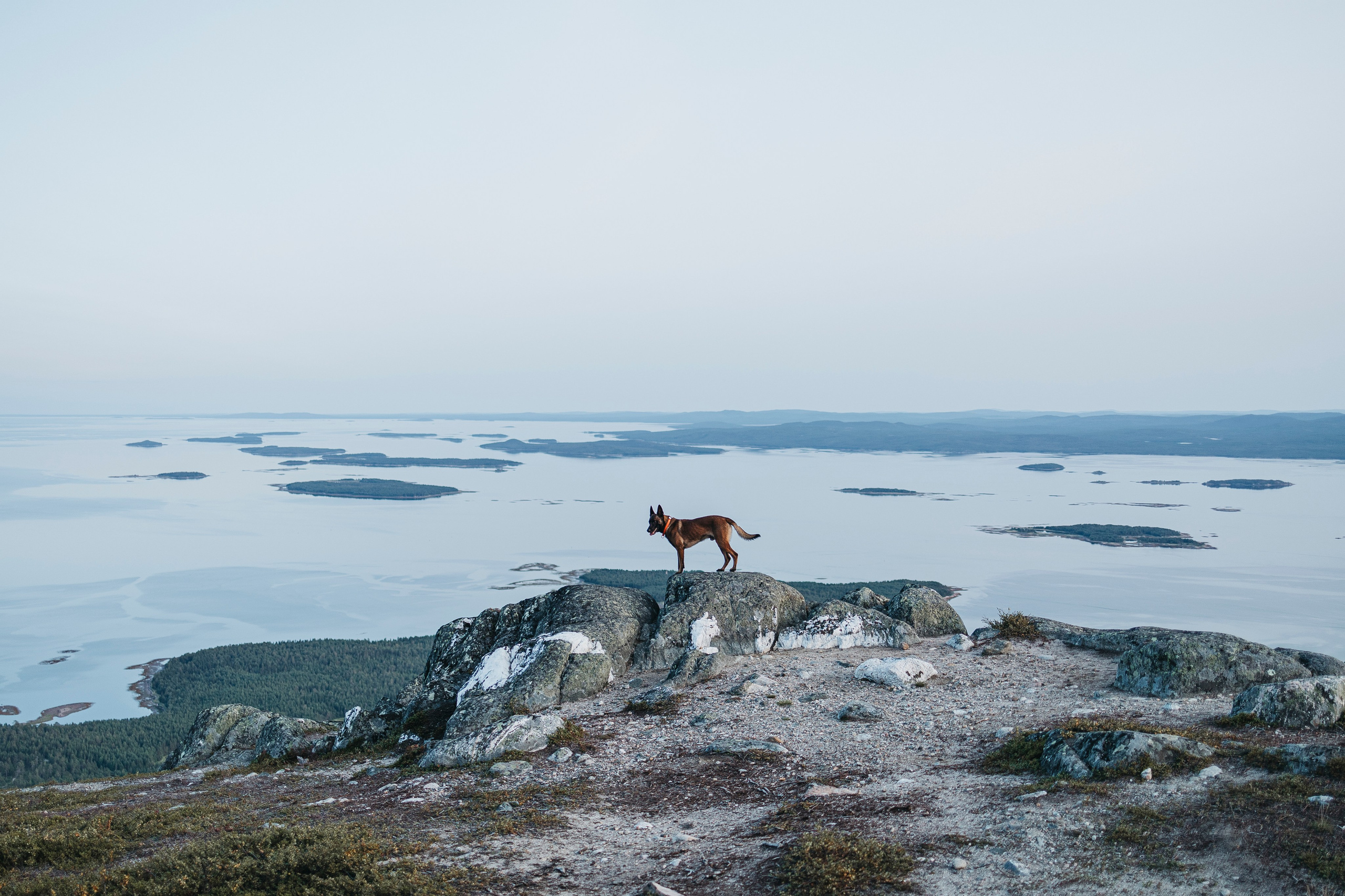 Горы. Фотограф-анималист Анна Маринич