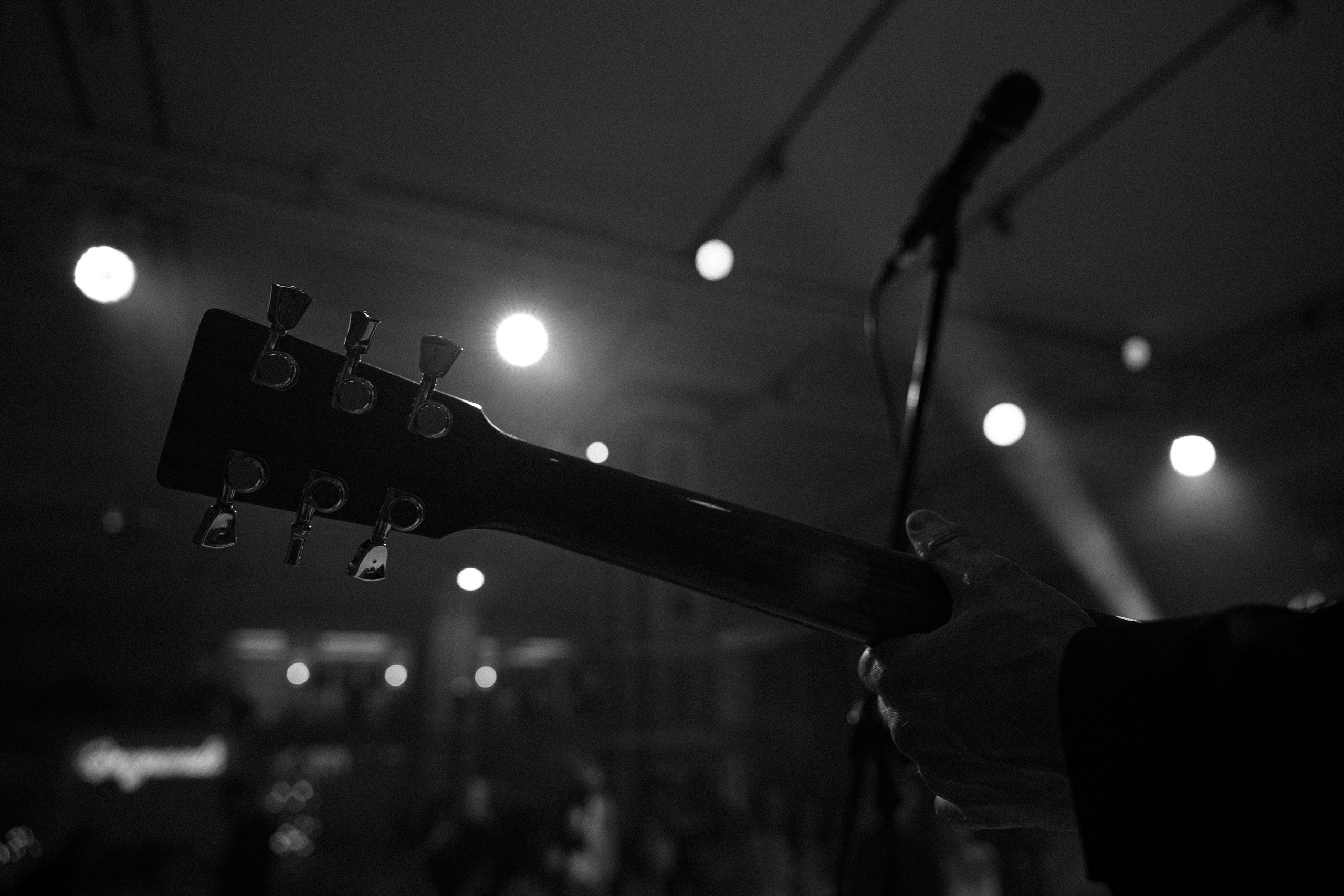 Sergey & Sabina. Вебер Юлия фотограф Ростов-на-Дону