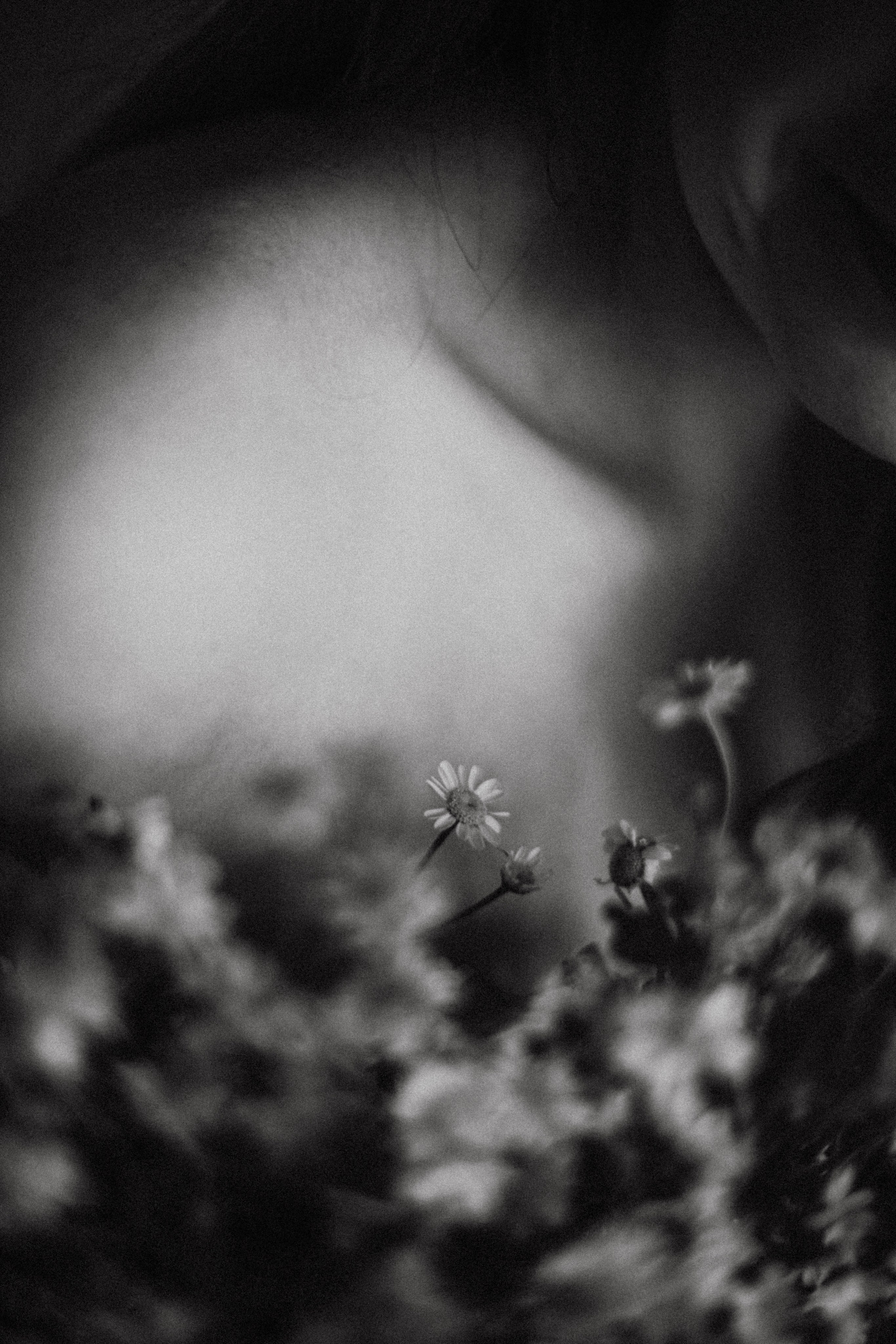 ДОМАшняя фотостудия. Фотограф в Нижнем Новгороде