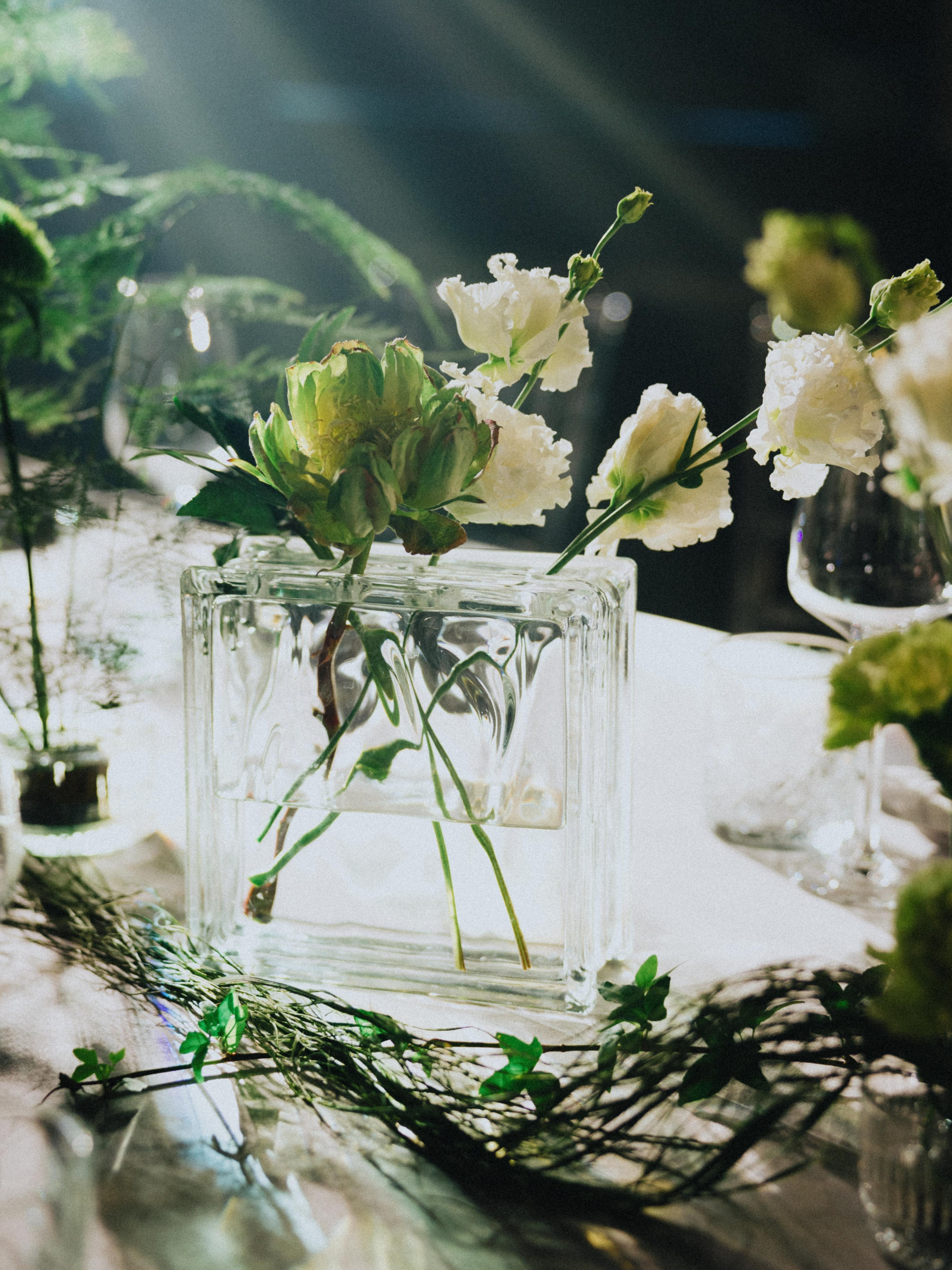 Follow the white rabbit. Вадим Зименков