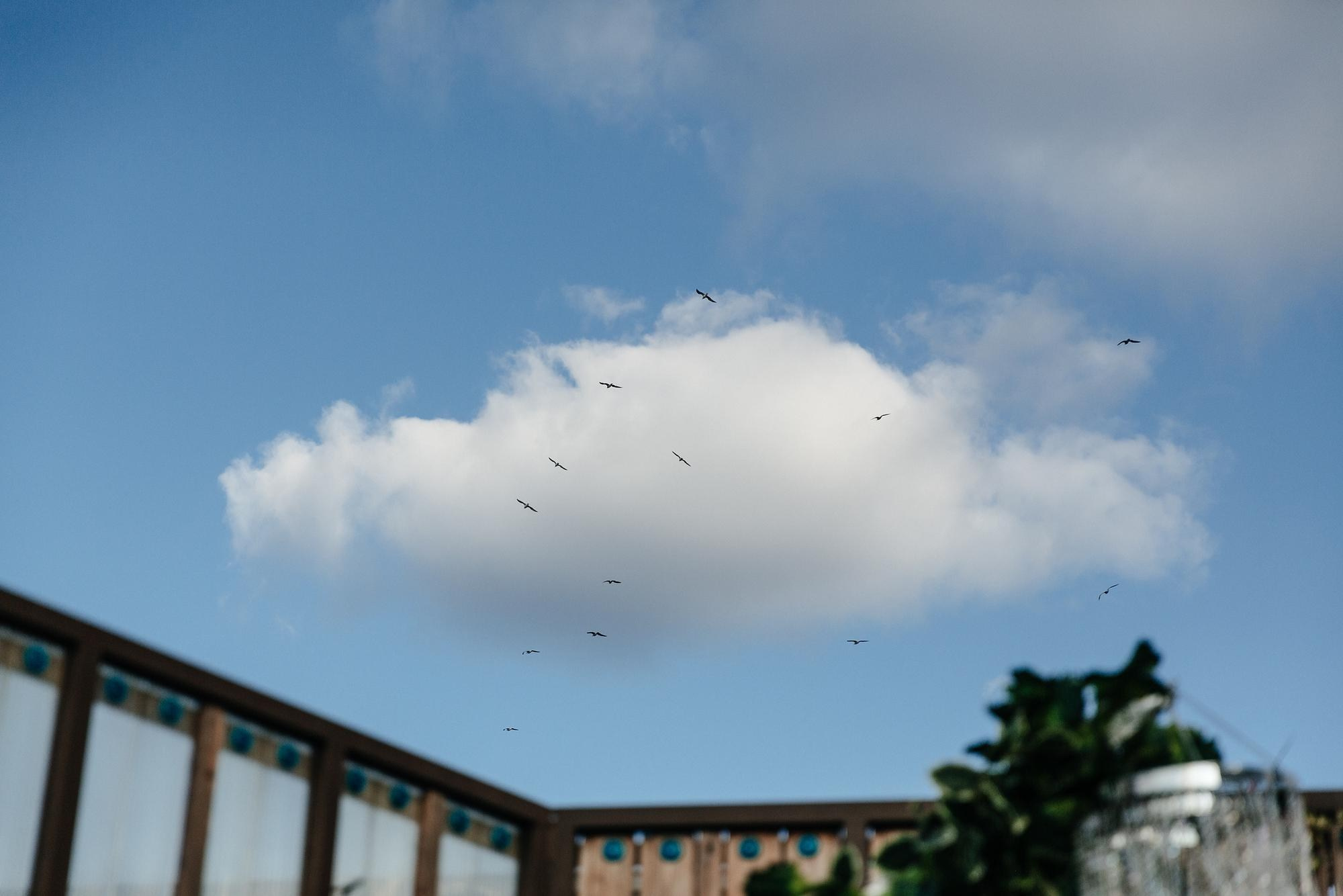 Свадебная фотосессия в Краснодаре. Свадебный, репортажный фотограф Дмитрий Макарченко
