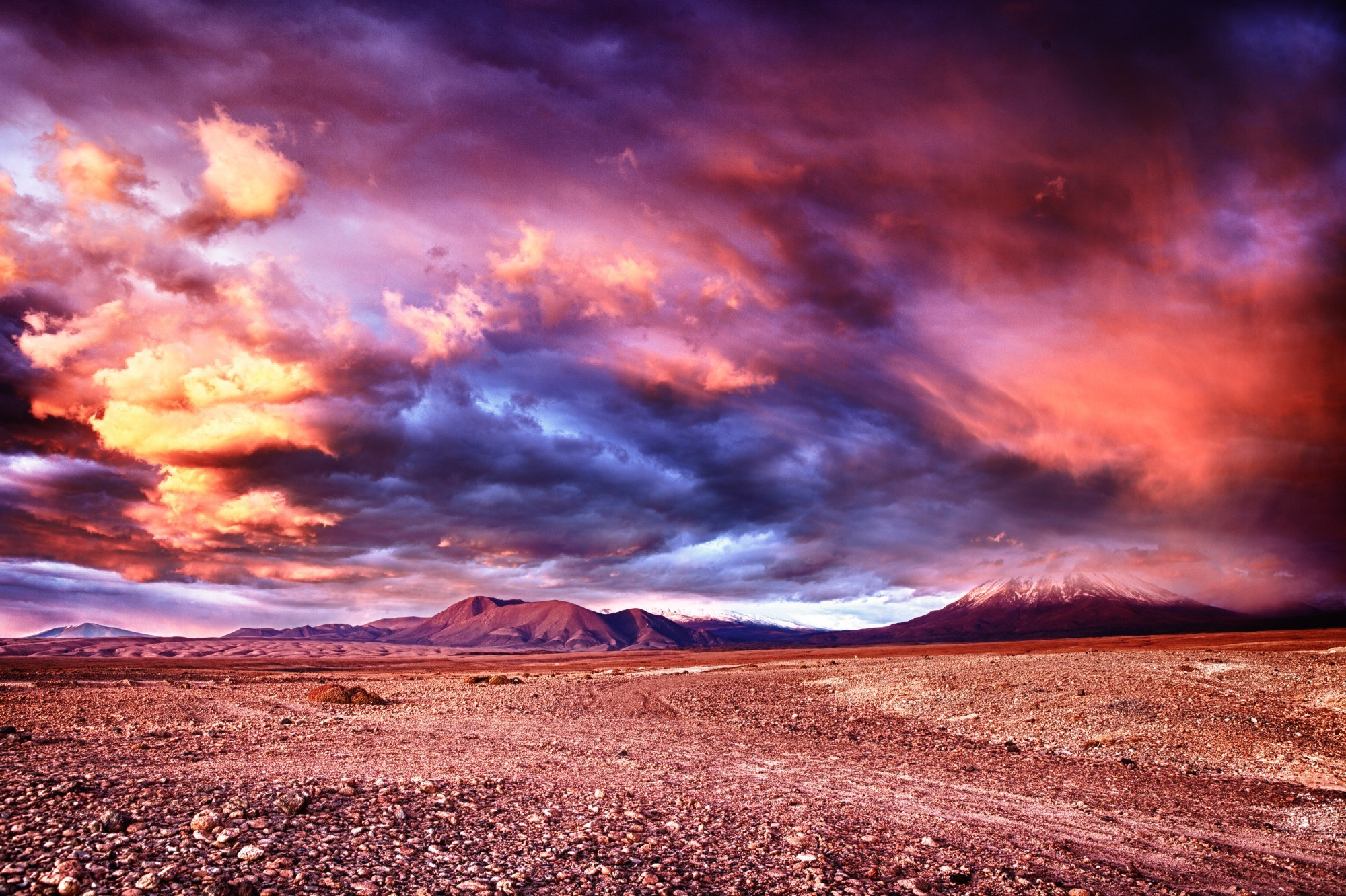 LANDSCAPE. Portrait and business photographer in Moscow Andrey Nikolsky
