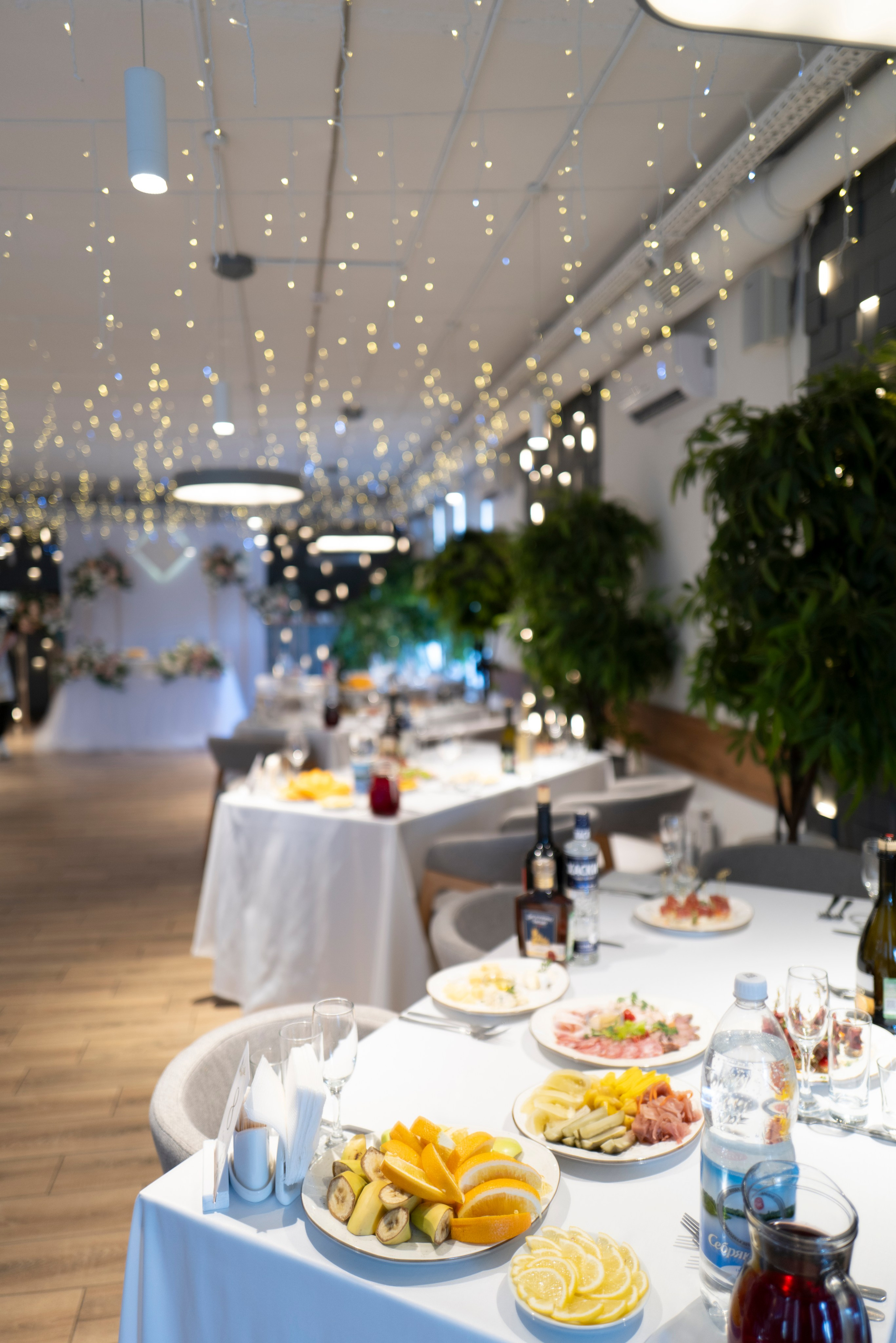 Рестораны. Maxon Magnusson