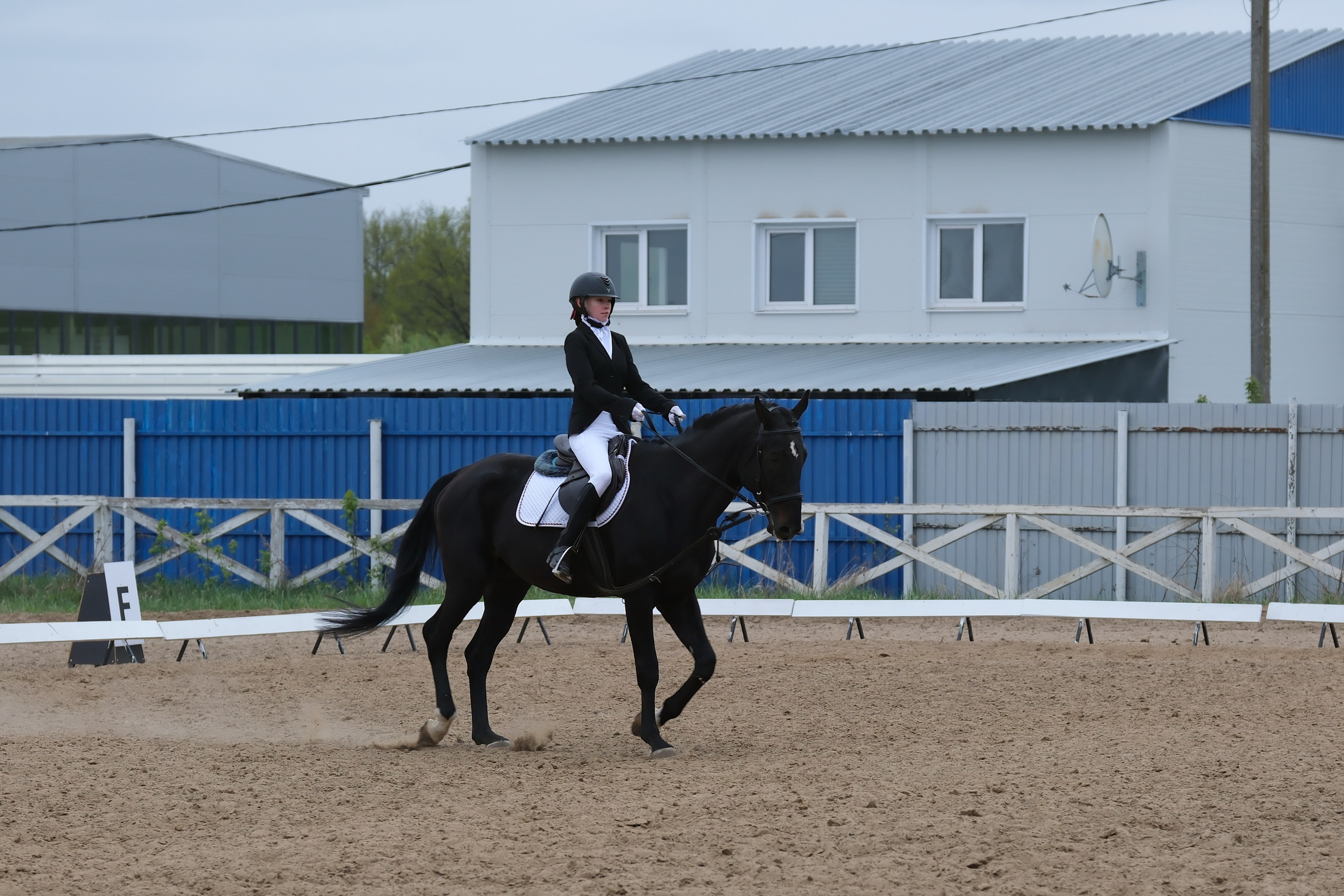 Соревнования по конному спорту в КСК «АЛЛЮР»!. Добро пожаловать в студию «Цифровой скульптор»  где искусство встречается с технологиями!