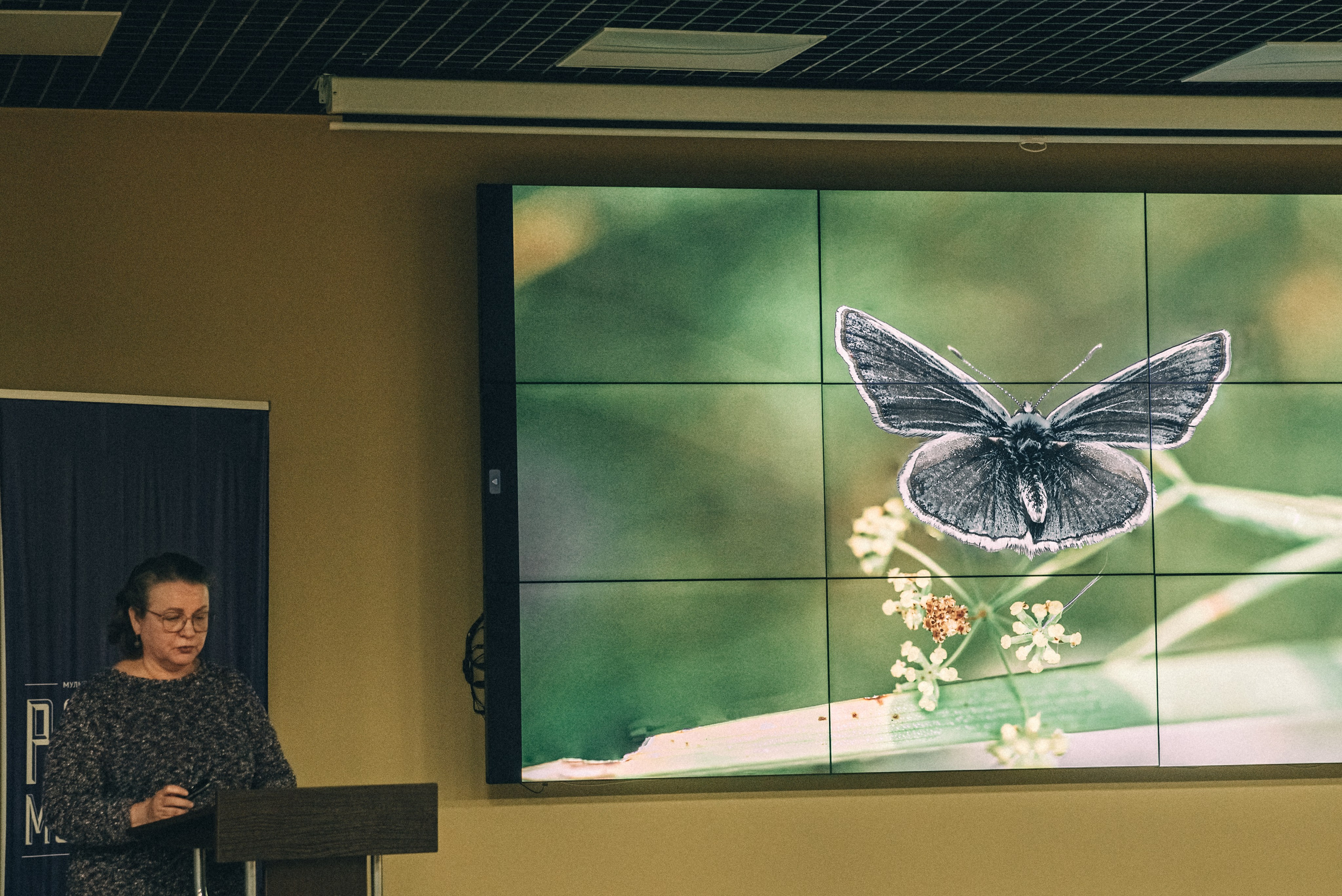 04.02.2023 ТЦ Гудок. Мастер-класс. Фотообъединение Самарского областного отделения Союза журналистов России