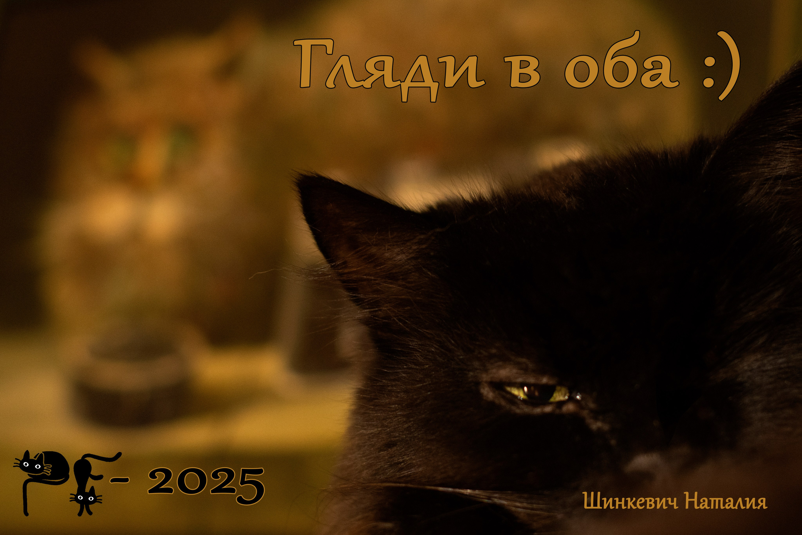 PF-2025. Фотообъединение Самарского областного отделения Союза журналистов России